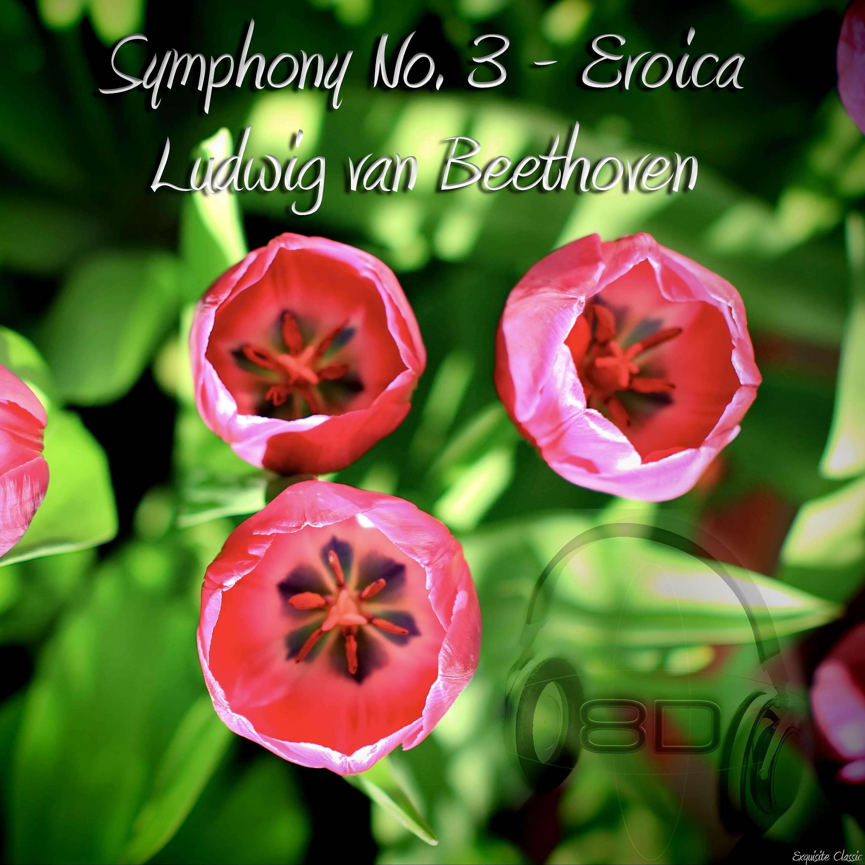 Релиз Symphony No. 3 in E flat major, Op. 55, "Eroica" - Ludwig van Beethoven