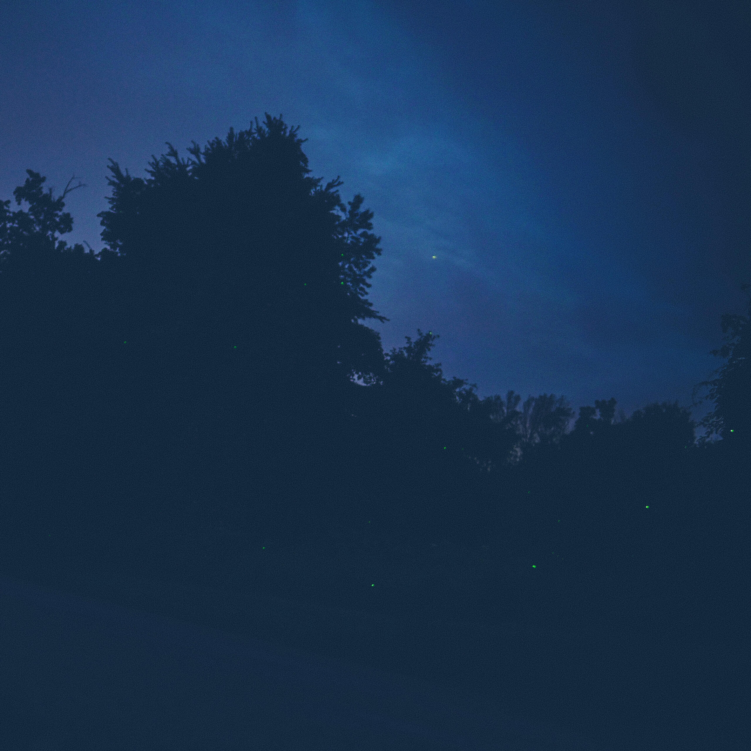 Постер альбома sleepless