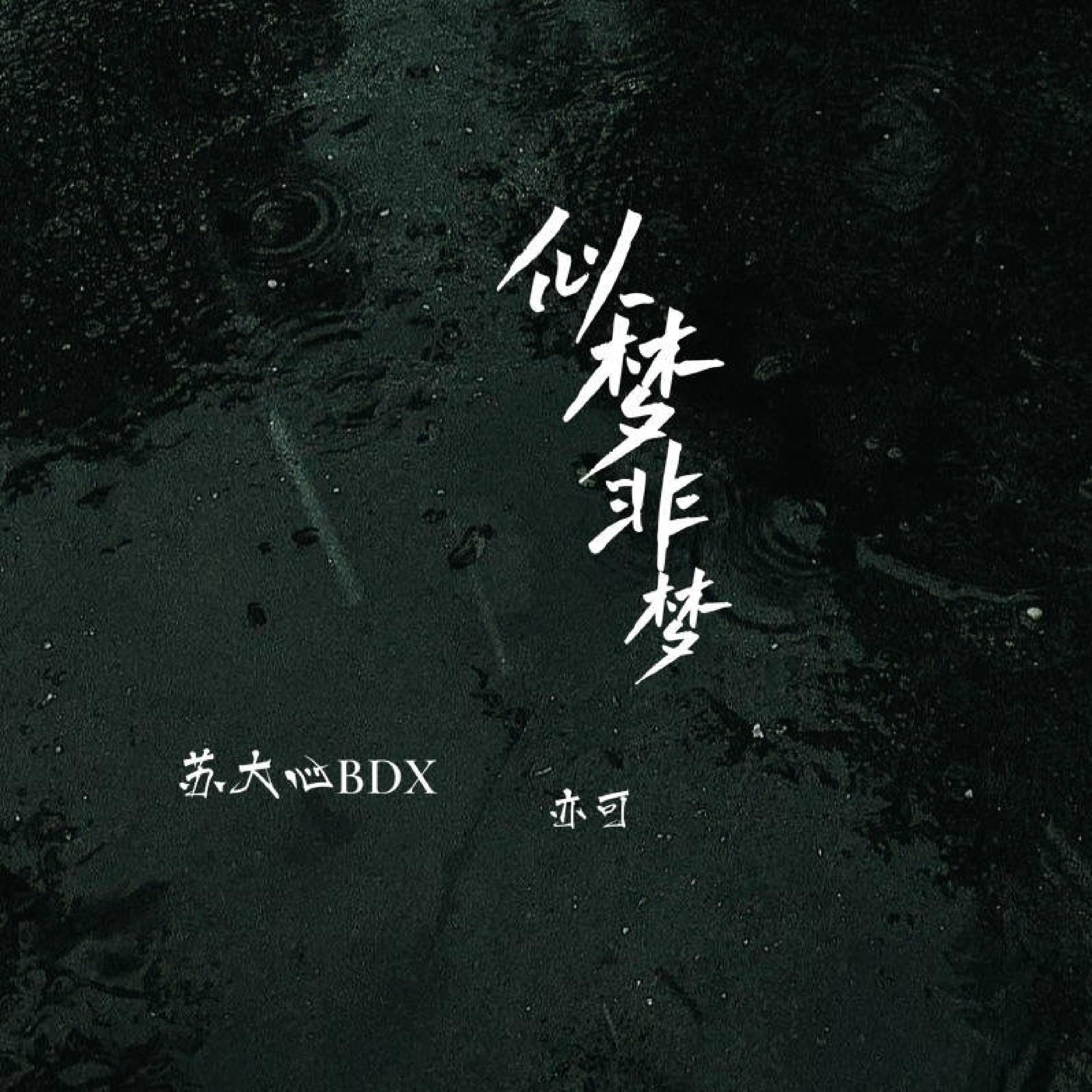 Релиз 似梦非梦