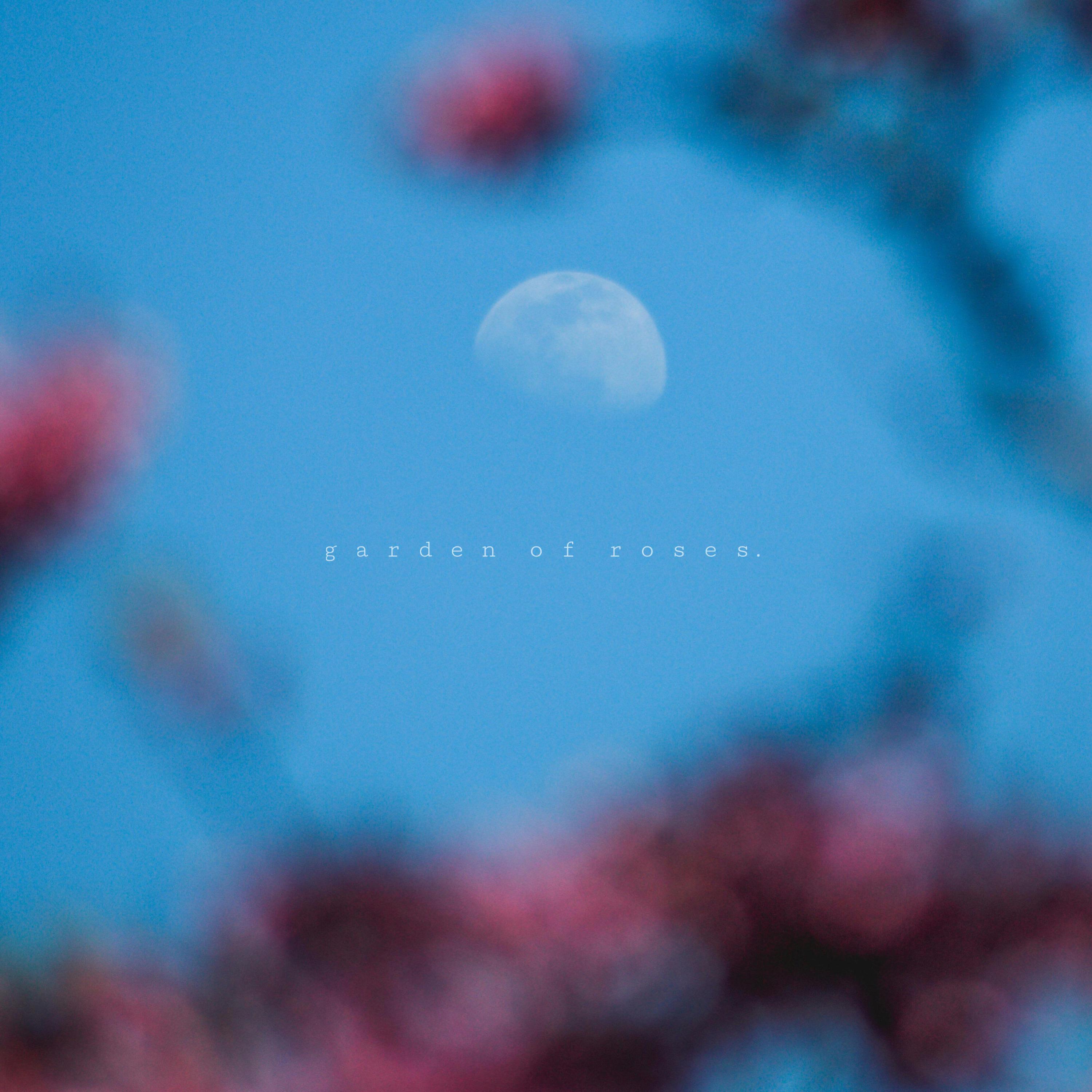 Релиз garden of roses