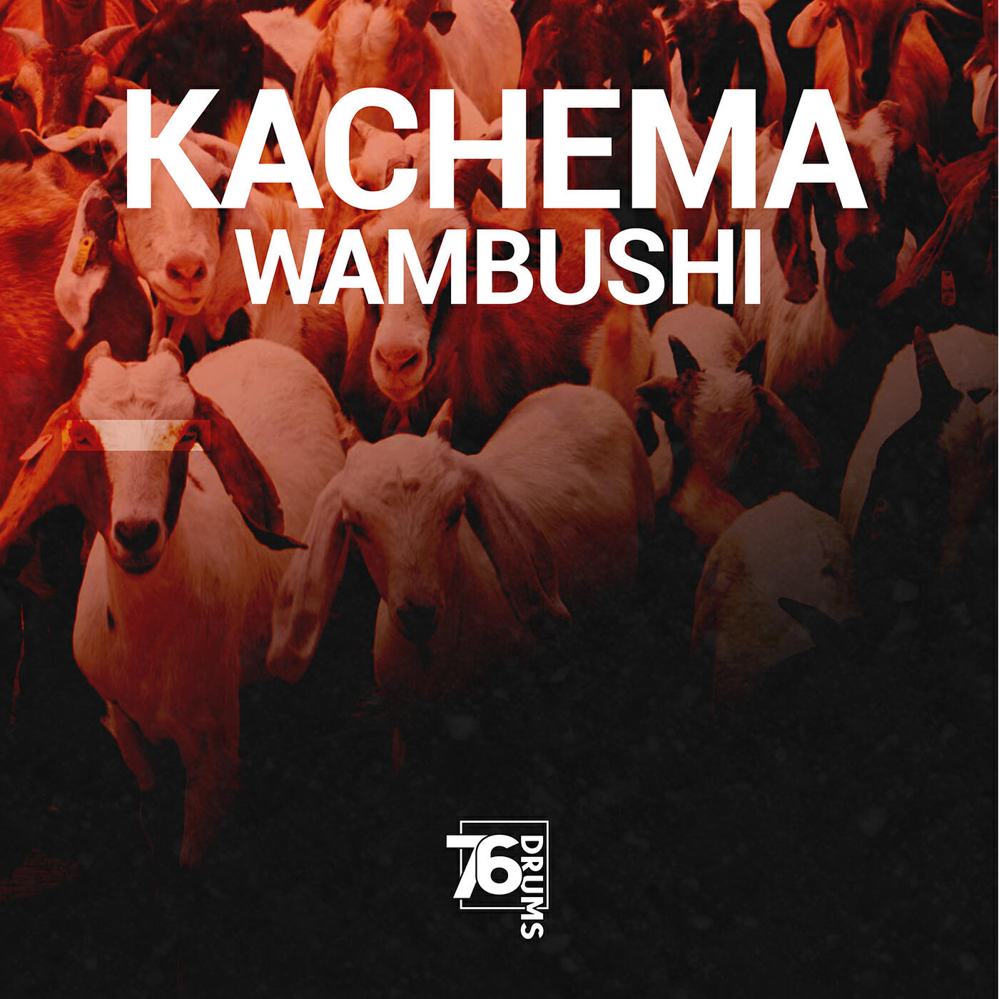 Релиз Kachema Wambushi