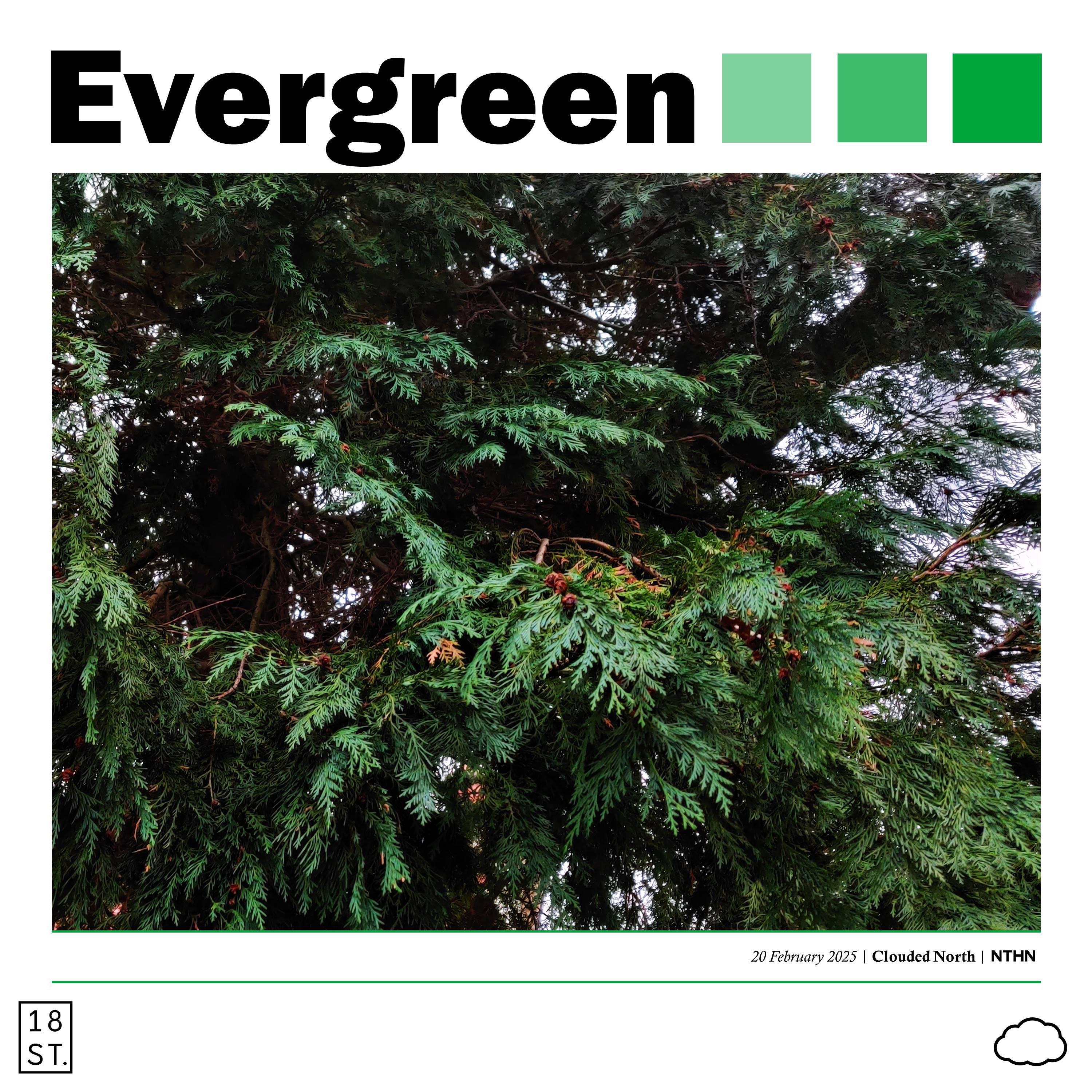 Релиз Evergreen