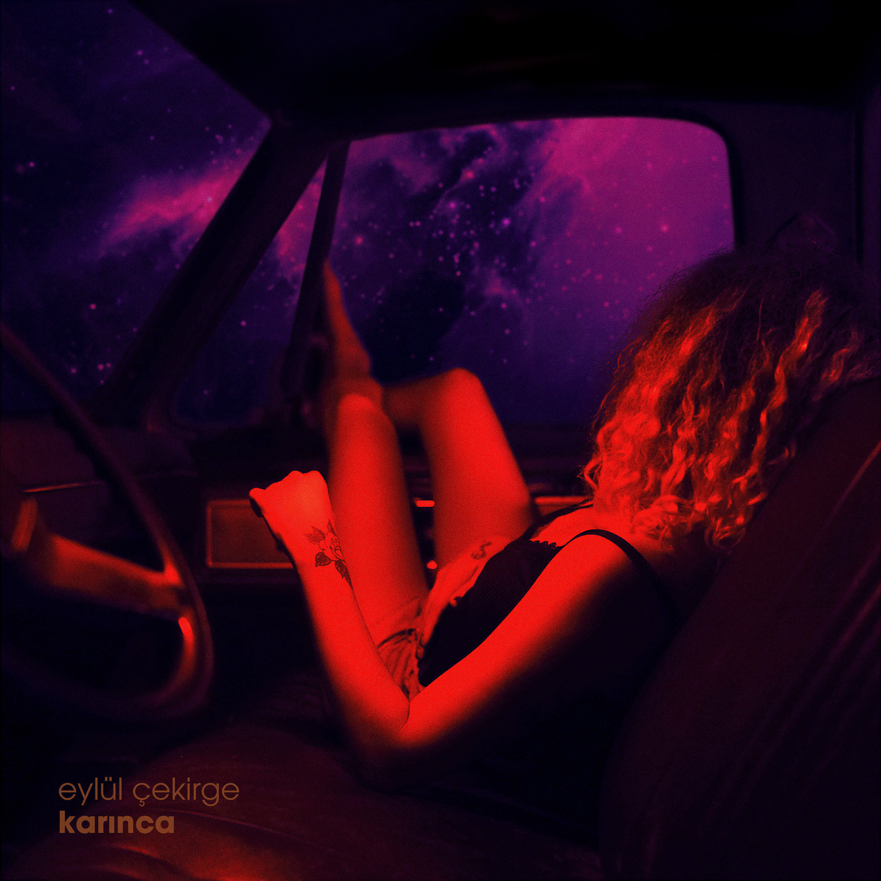 Релиз KARINCA