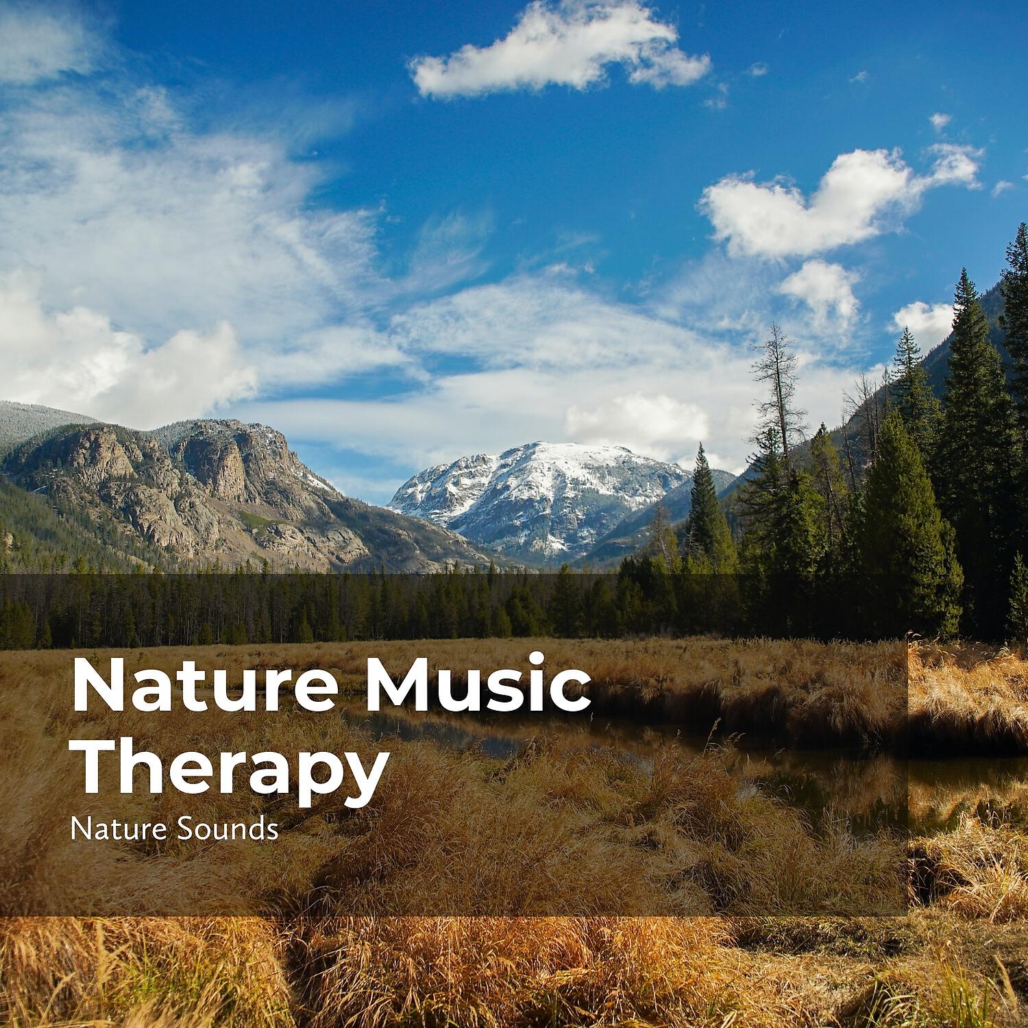 Релиз Nature Music Therapy