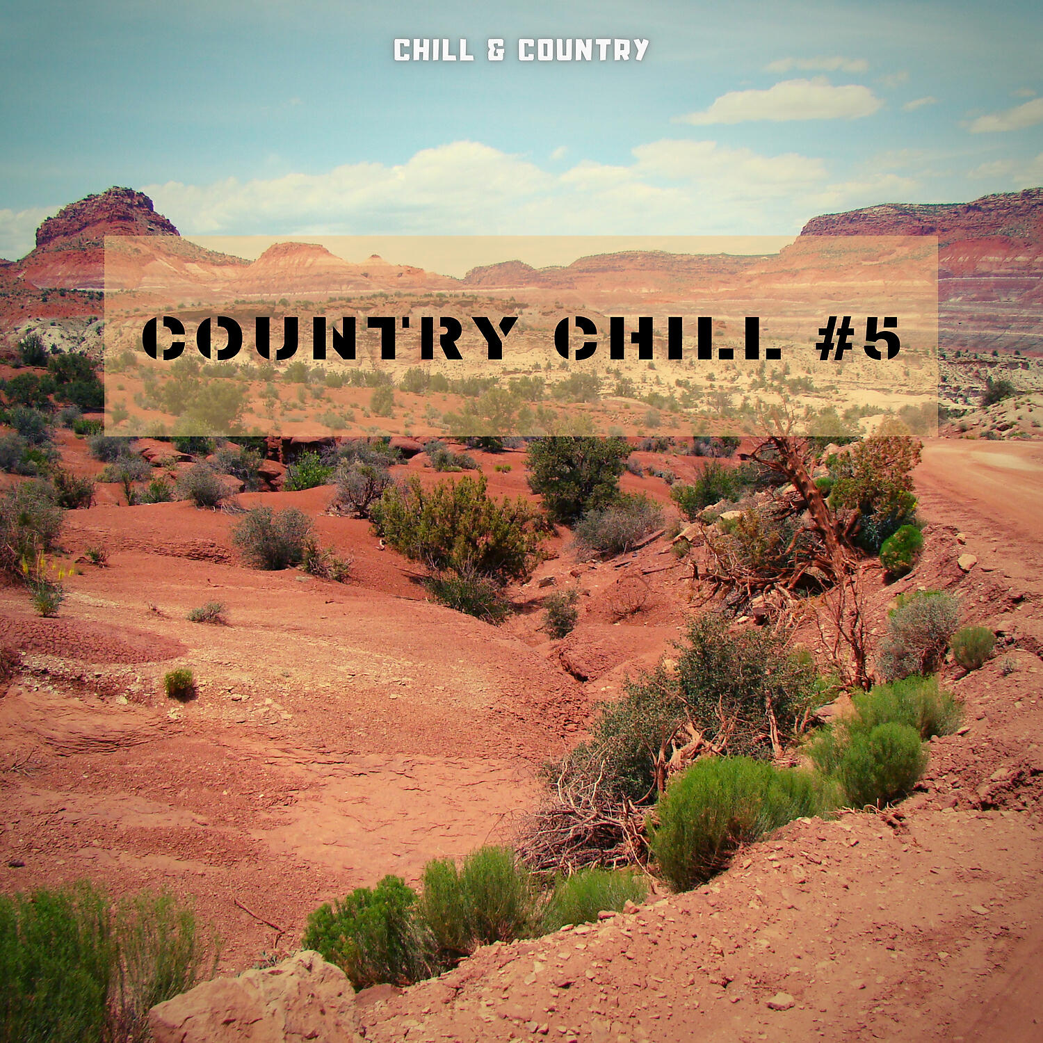 Постер альбома Country Chill #5