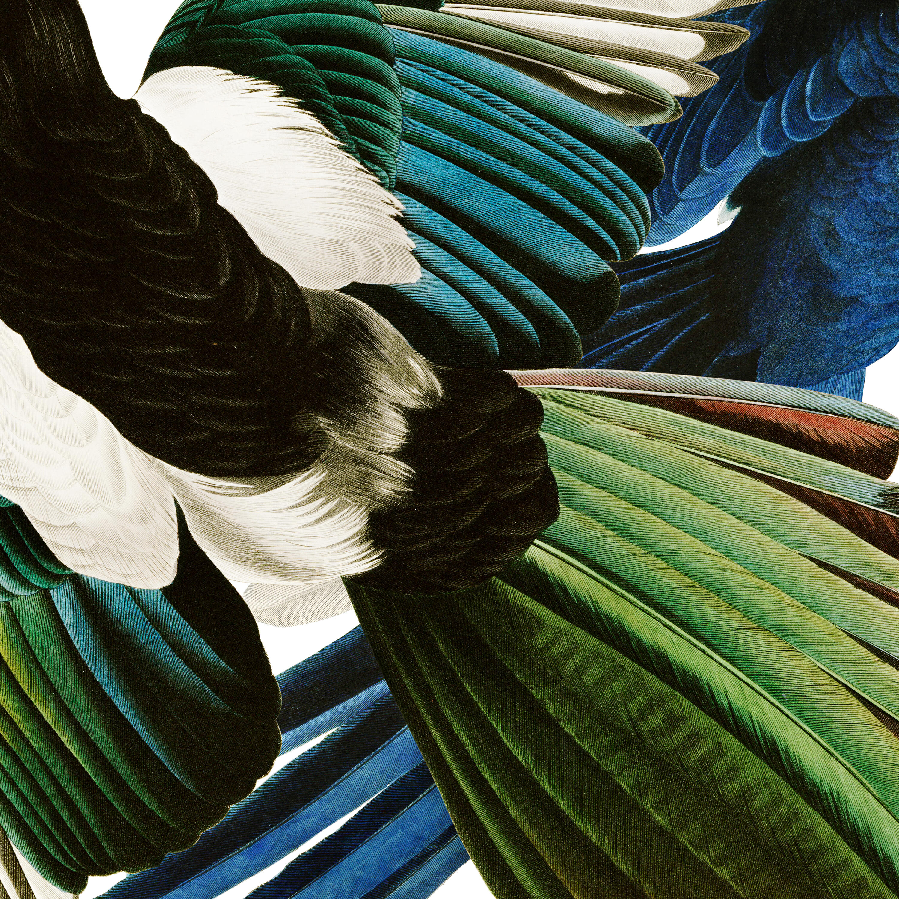 Релиз Zu Jeder Stund En Vogelgsang