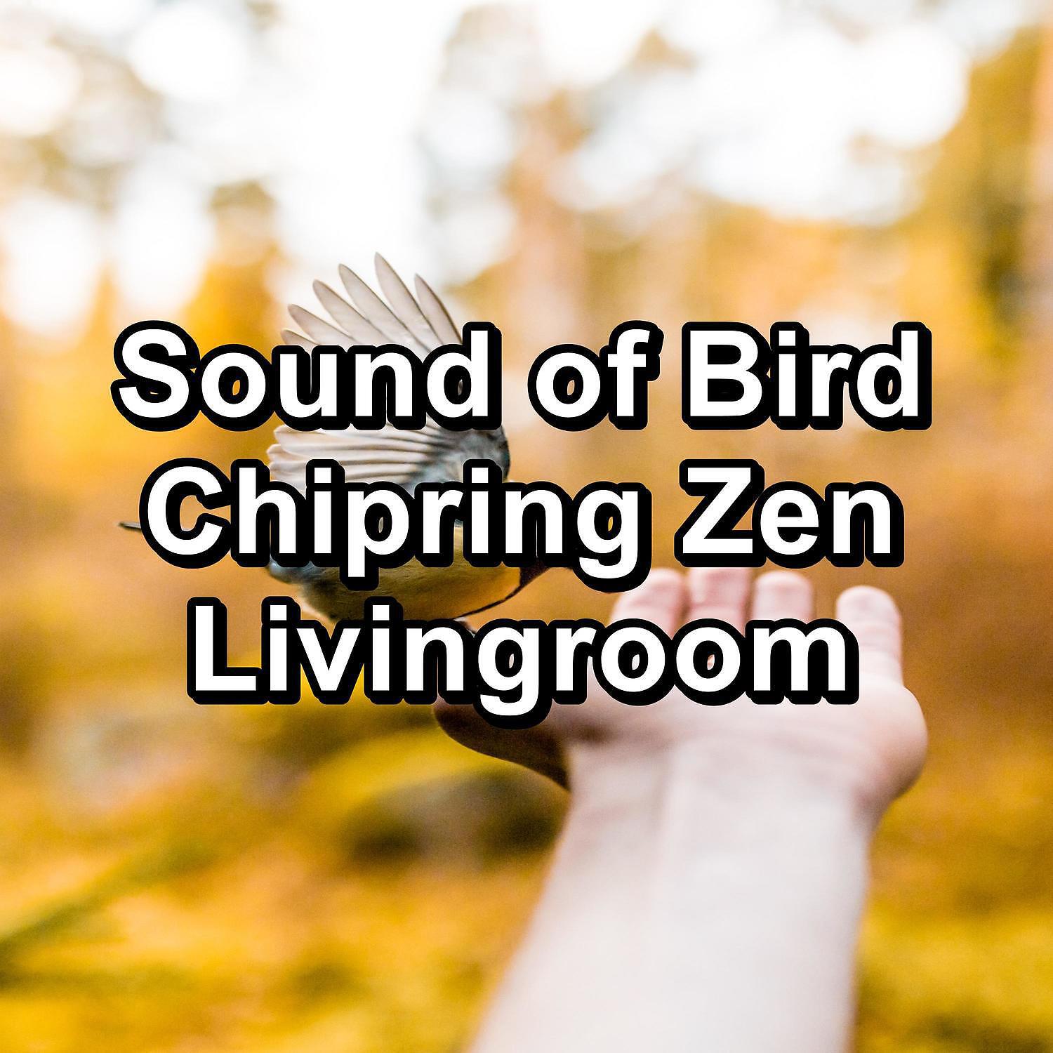 Релиз Sound of Bird Chipring Zen Livingroom