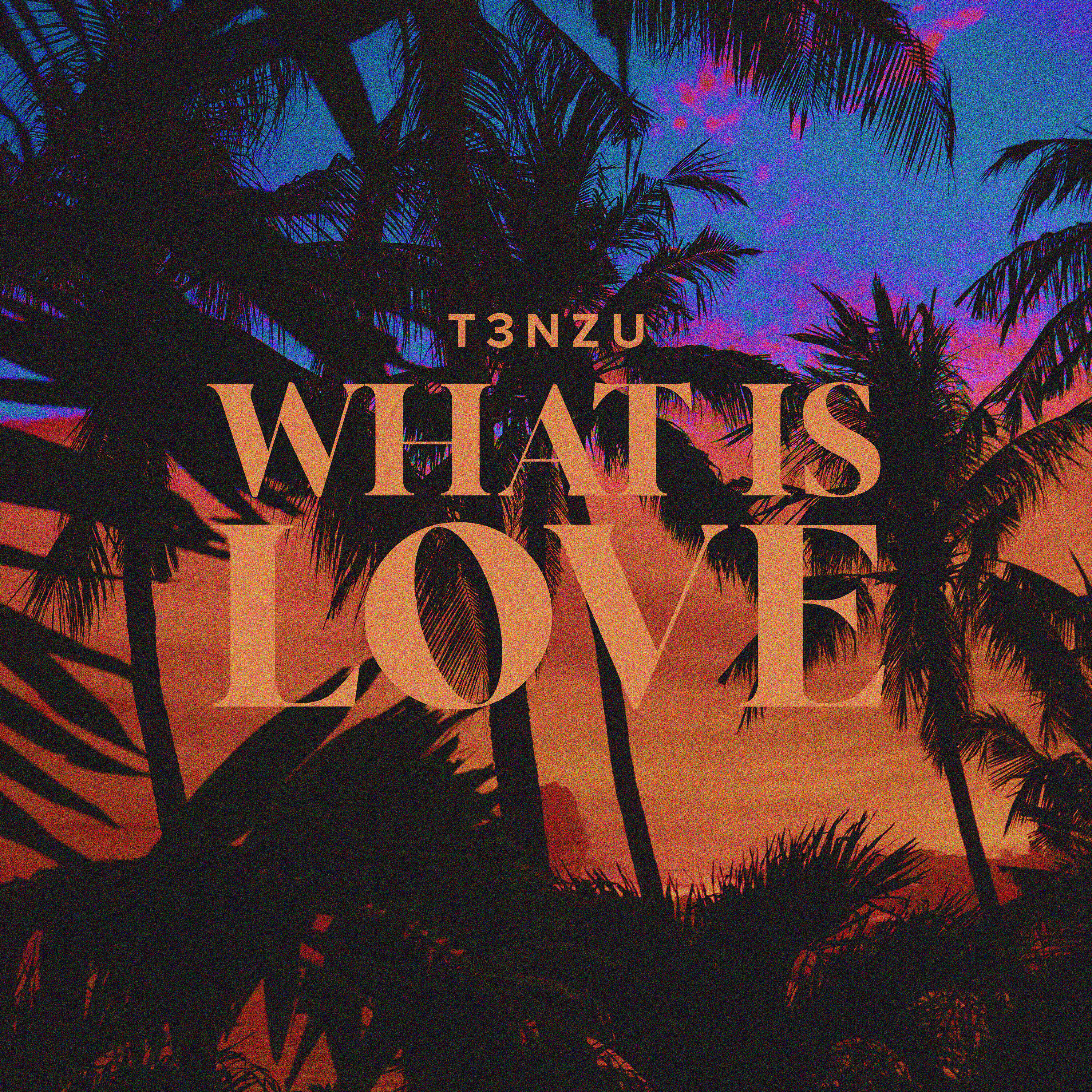 Релиз What Is Love