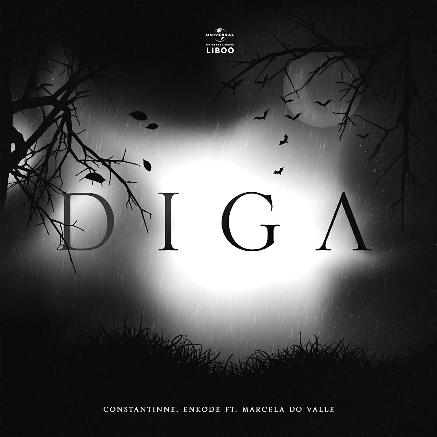 Релиз Diga