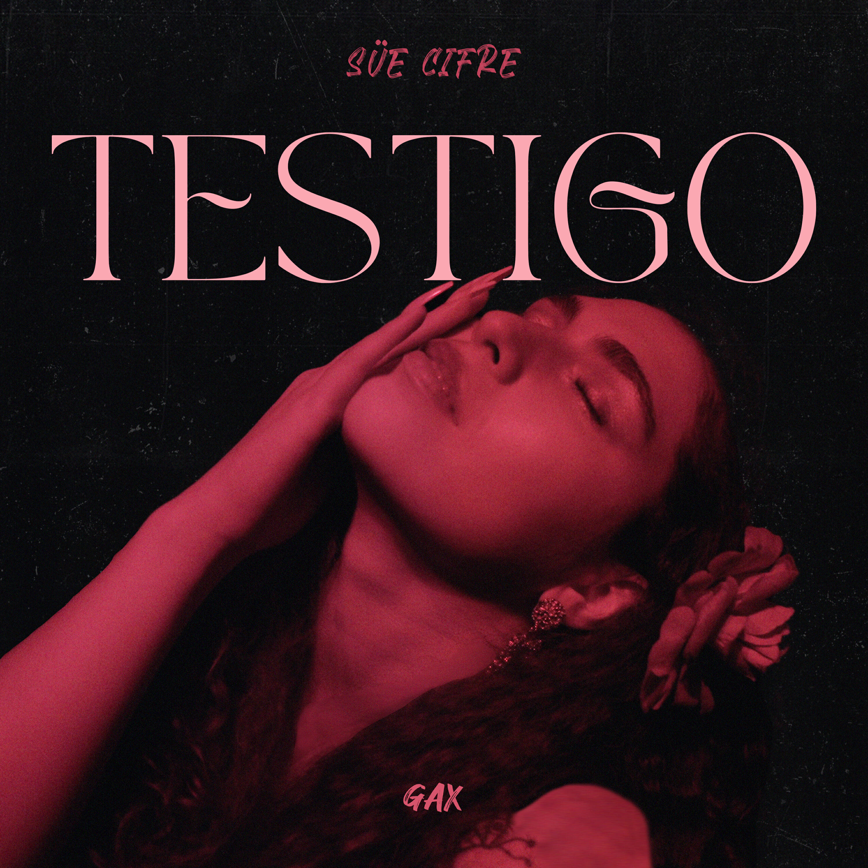 Релиз Testigo