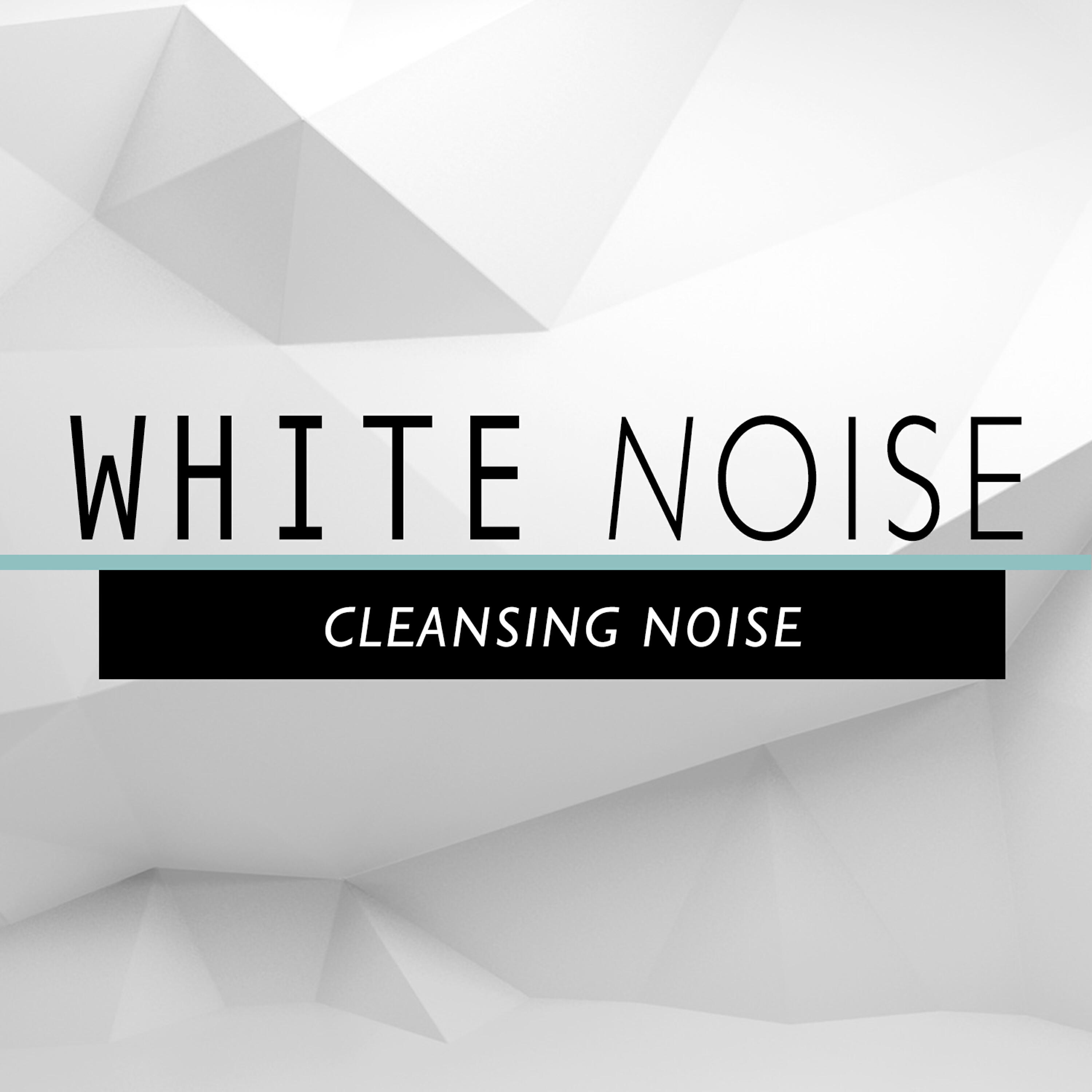 Релиз White Noise: Cleansing Noise