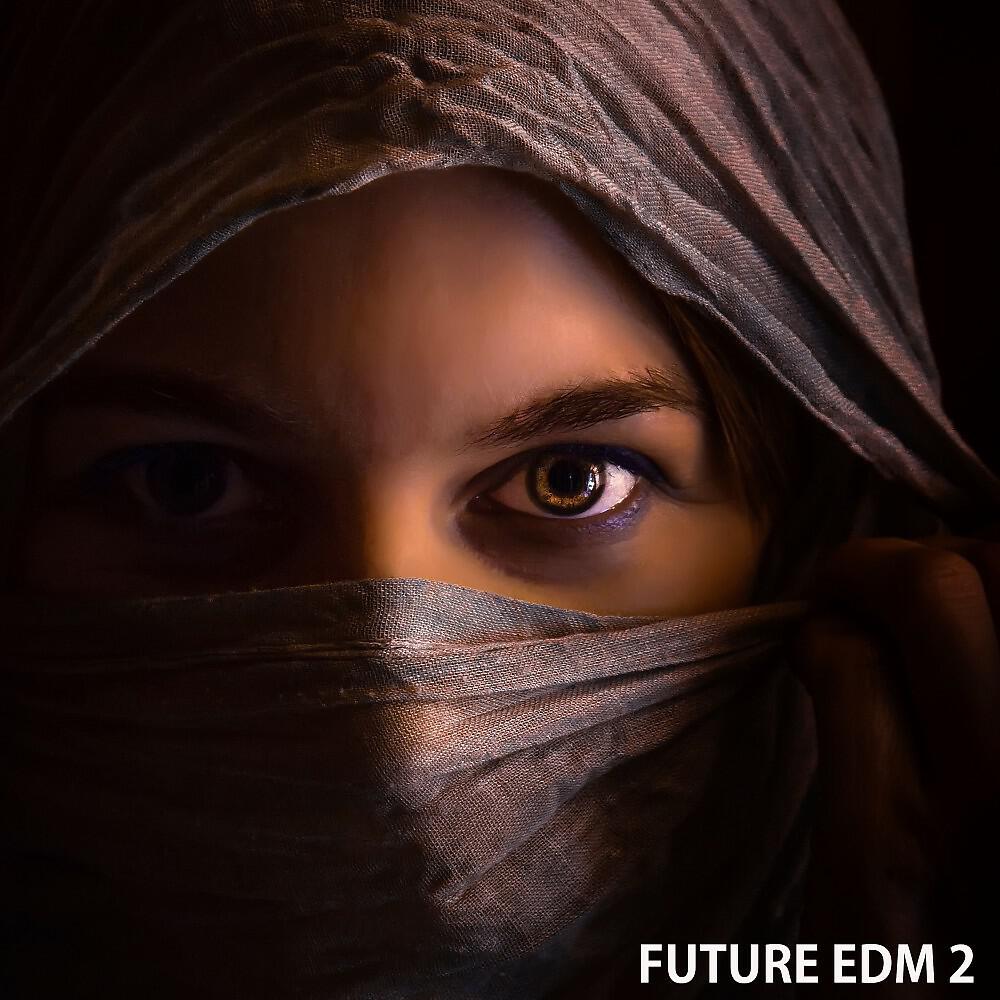 Релиз Future EDM 2