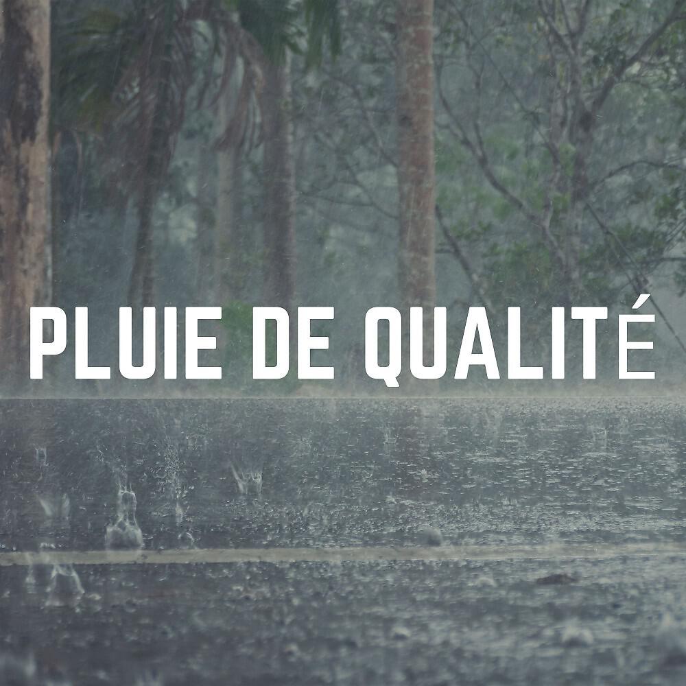 Релиз Pluie de Qualité