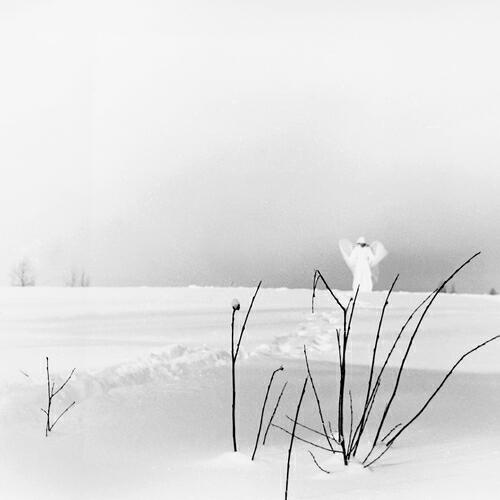 Релиз In Frostigen Tälern