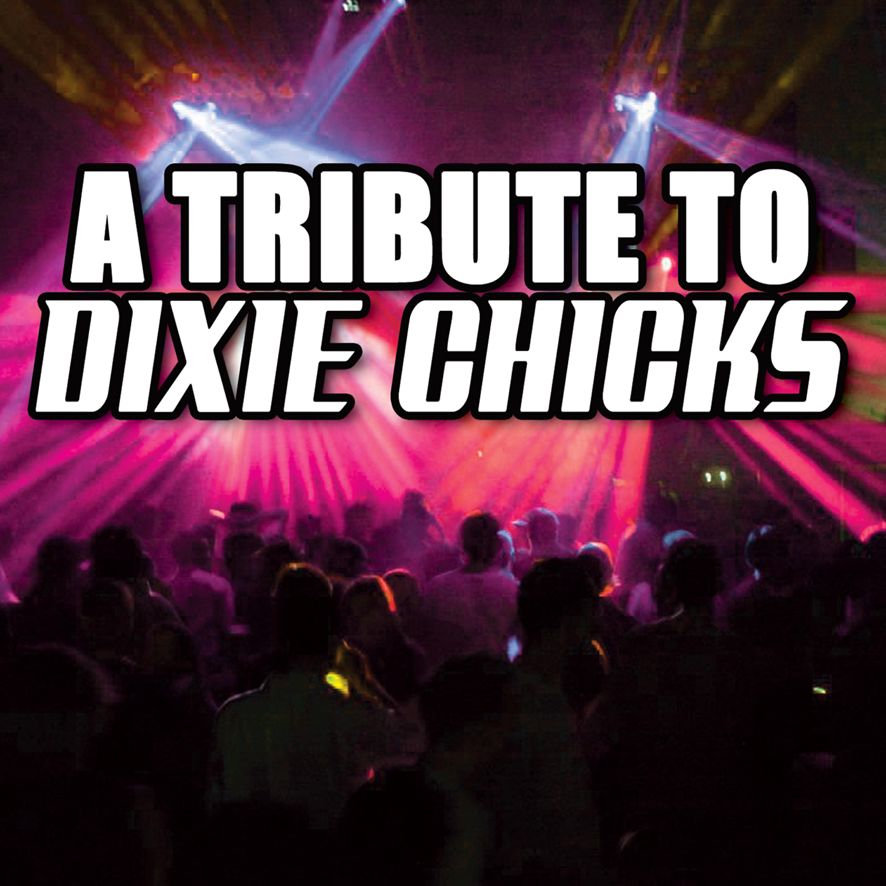 Various Artists - Dixie Chicks Tribute