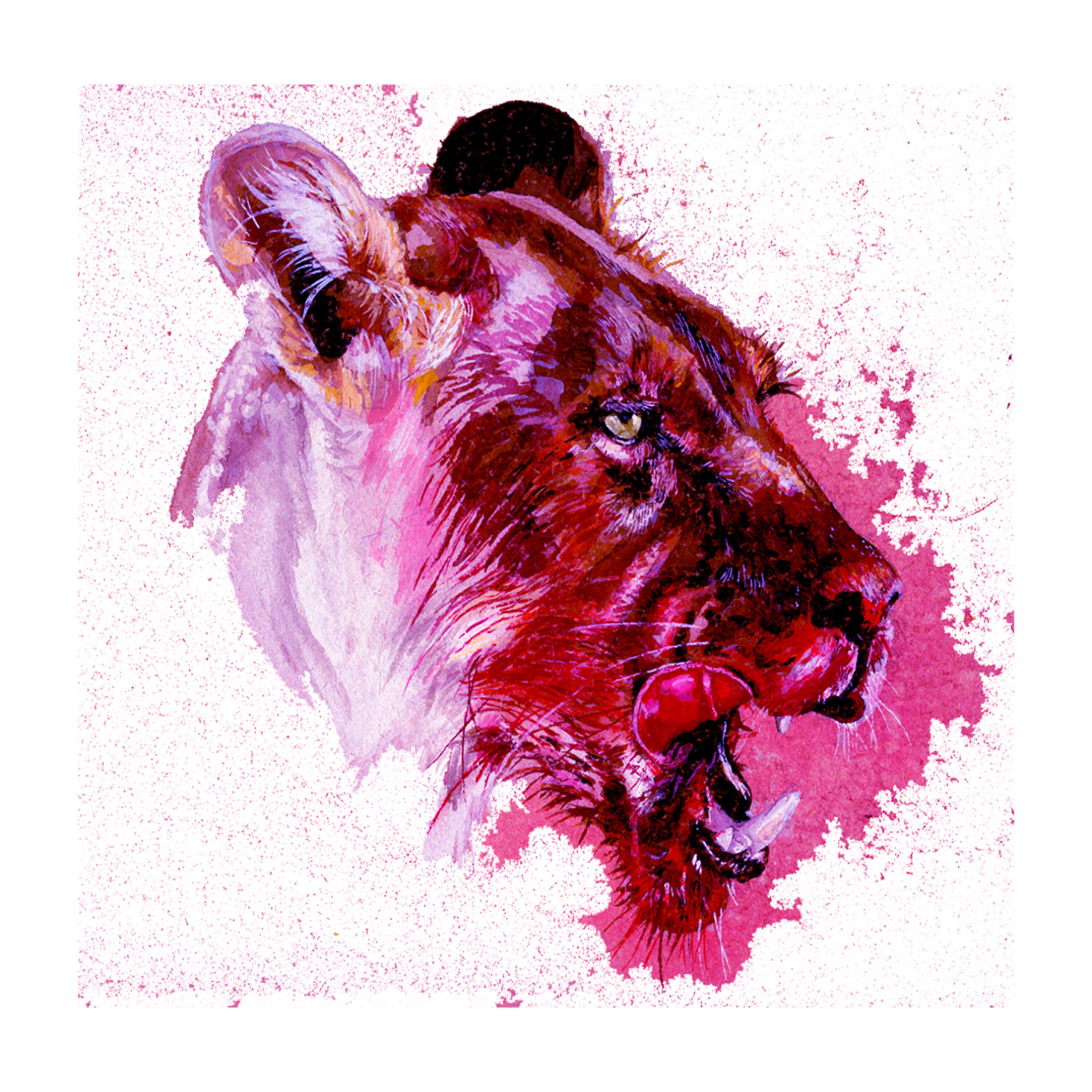 Релиз Wild Women