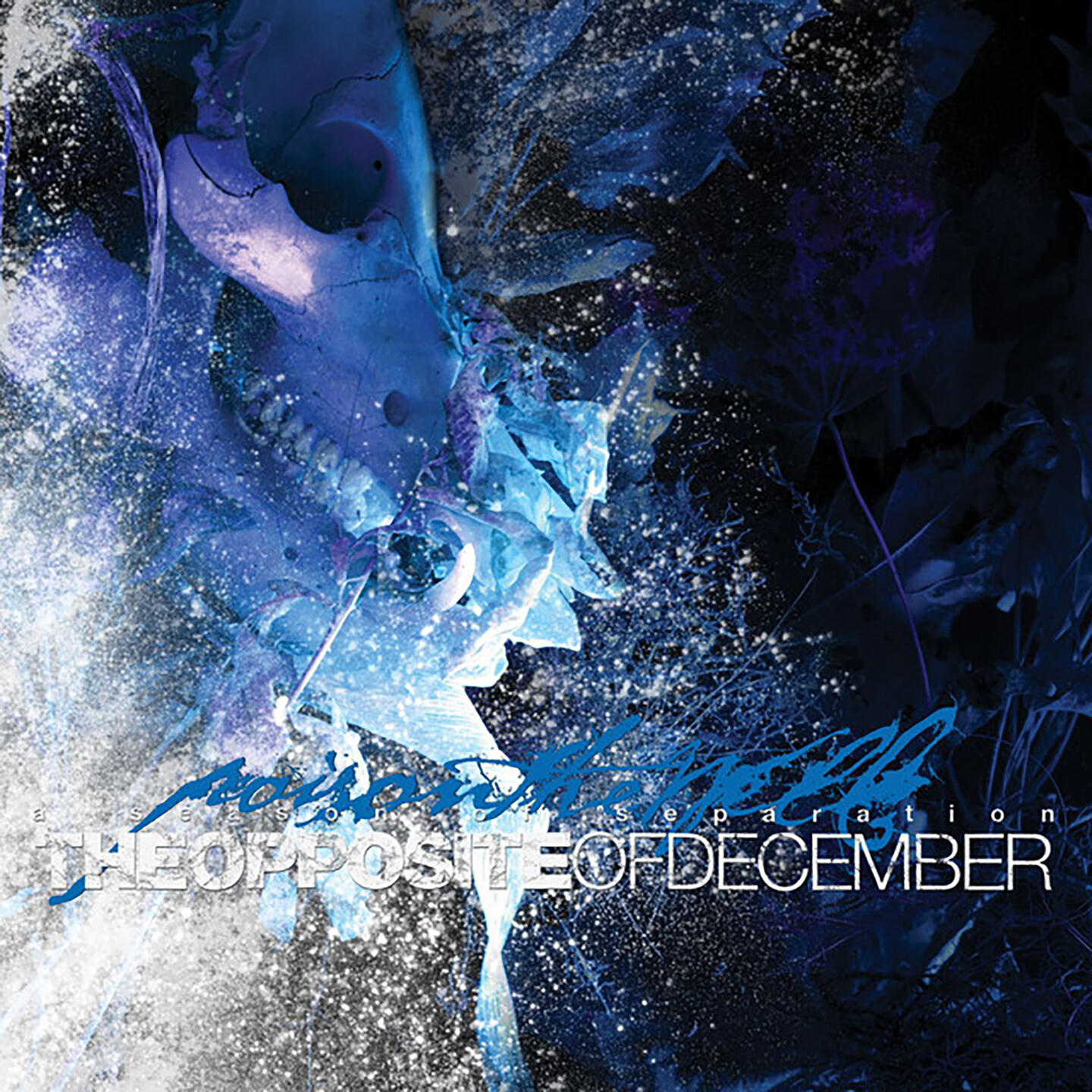 Релиз The Opposite of December... A Season of Separation