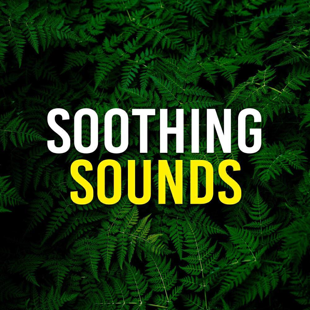 Sounds of Nature: Thunderstorm, Rain