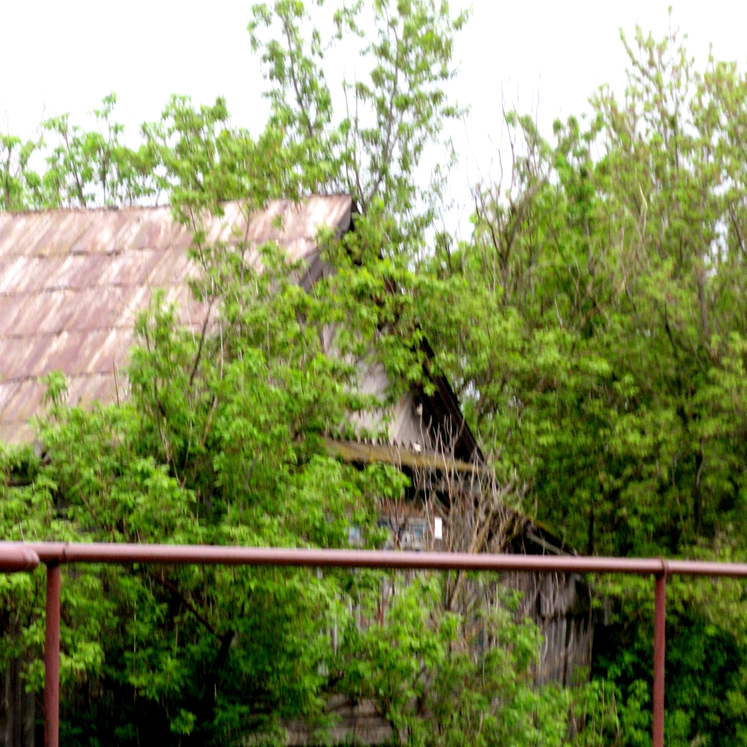 Релиз Where Is Home