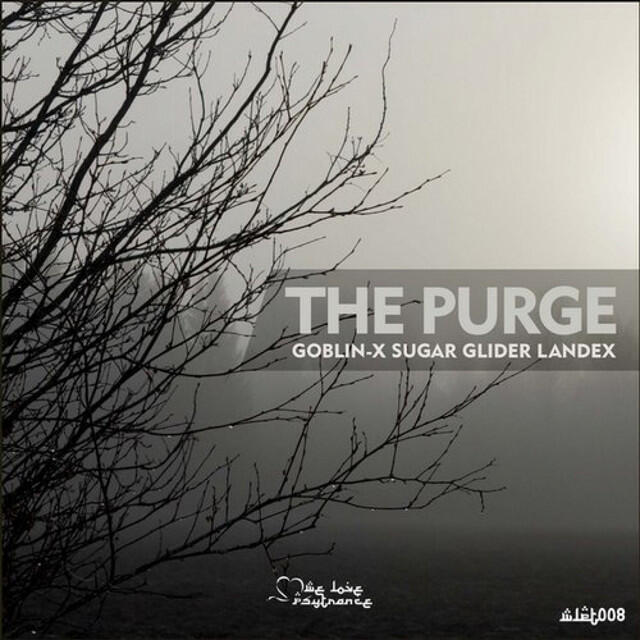 Релиз The Purge
