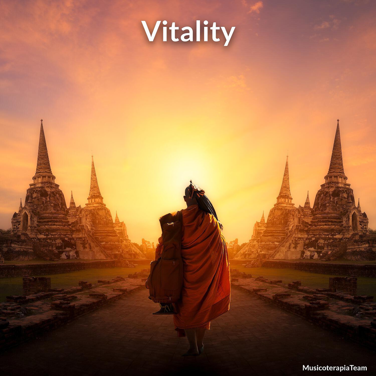 Постер альбома Vitality