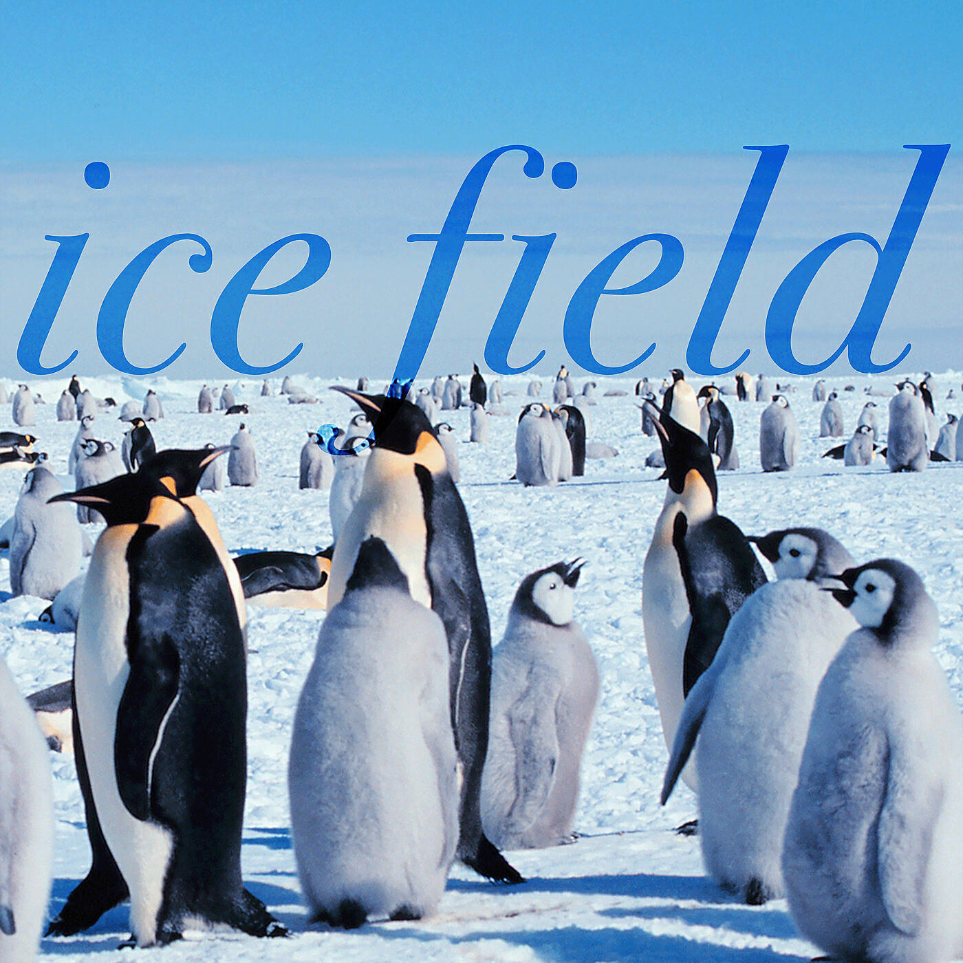 Релиз Ice Field