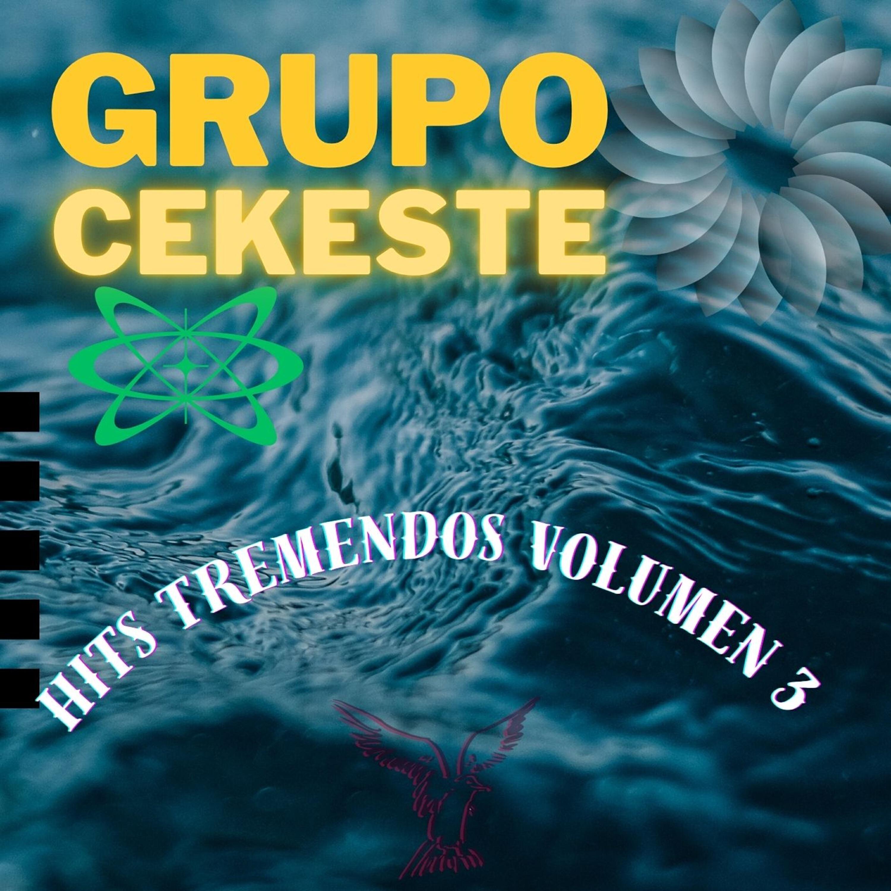 Grupo cekeste