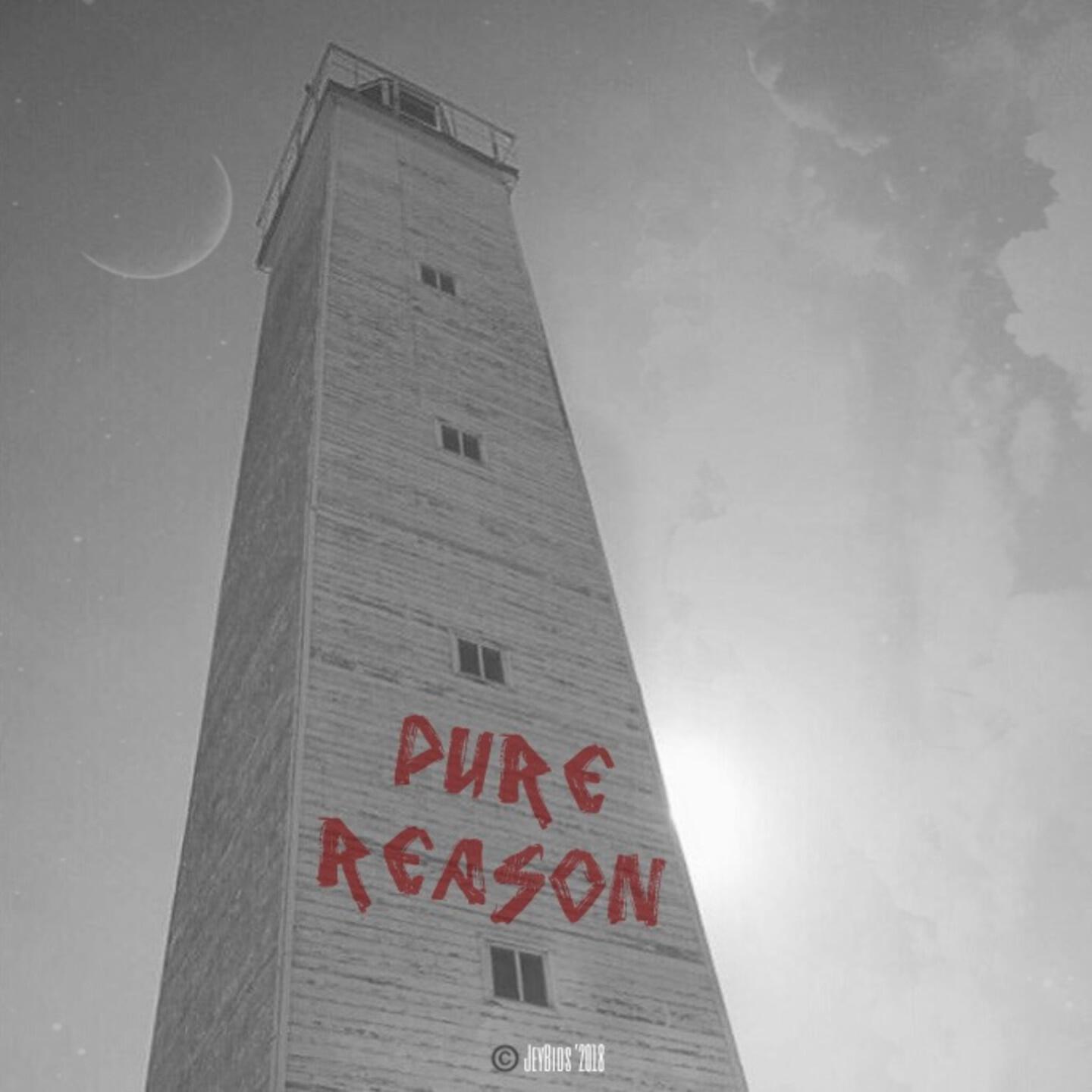 Pure Reason