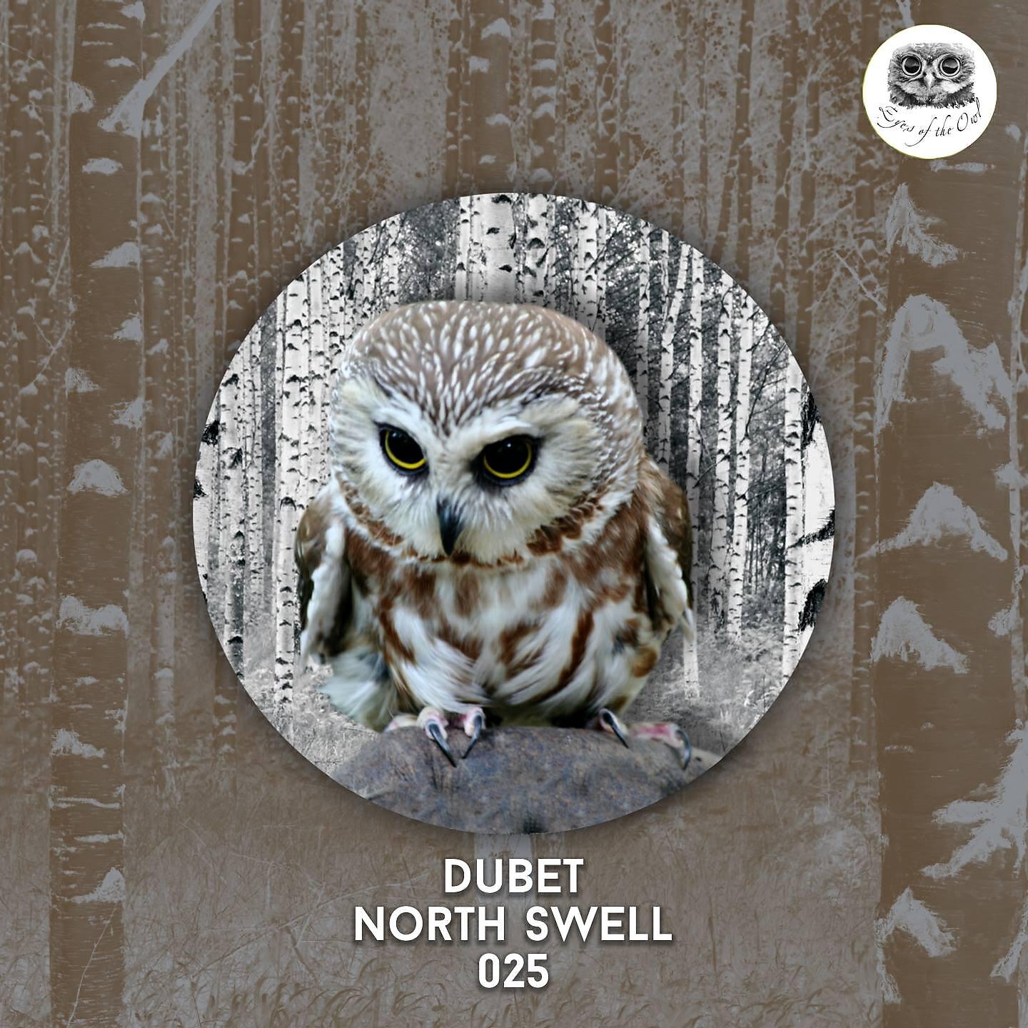 Релиз North Swell