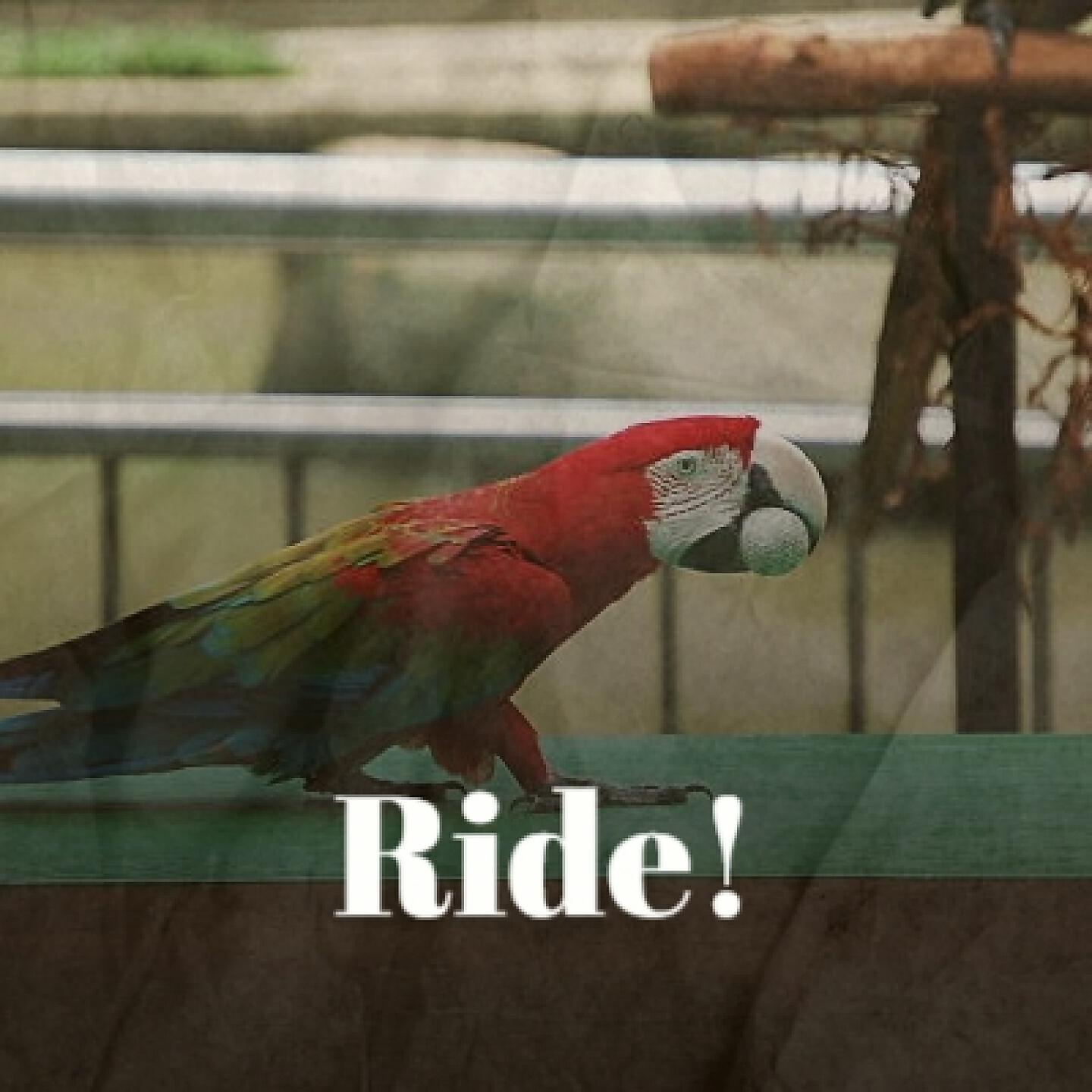 Постер альбома Ride!
