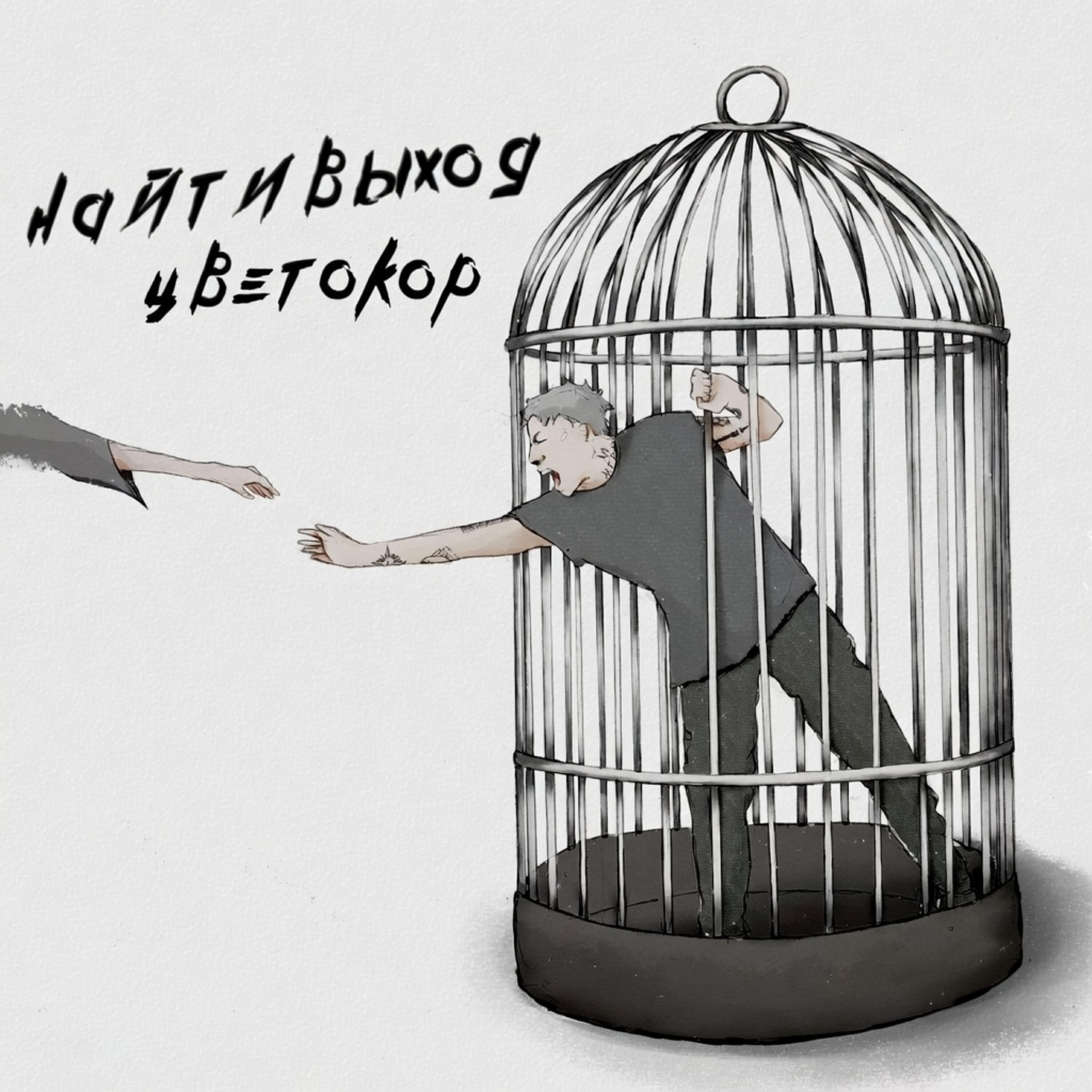 Релиз цветокор