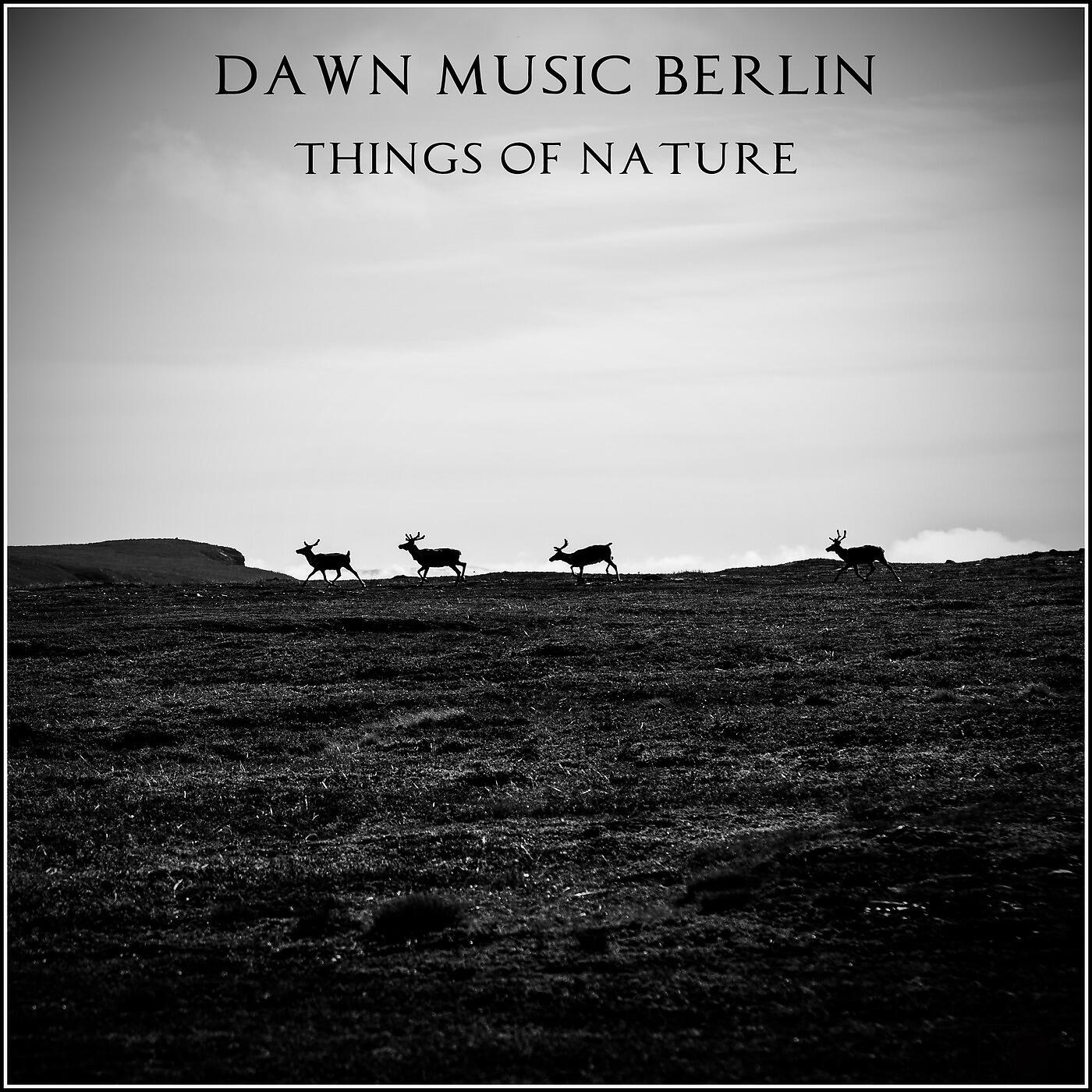 Скачать песню Dawn - Things of Nature бесплатно в MP3 для Android и iOS