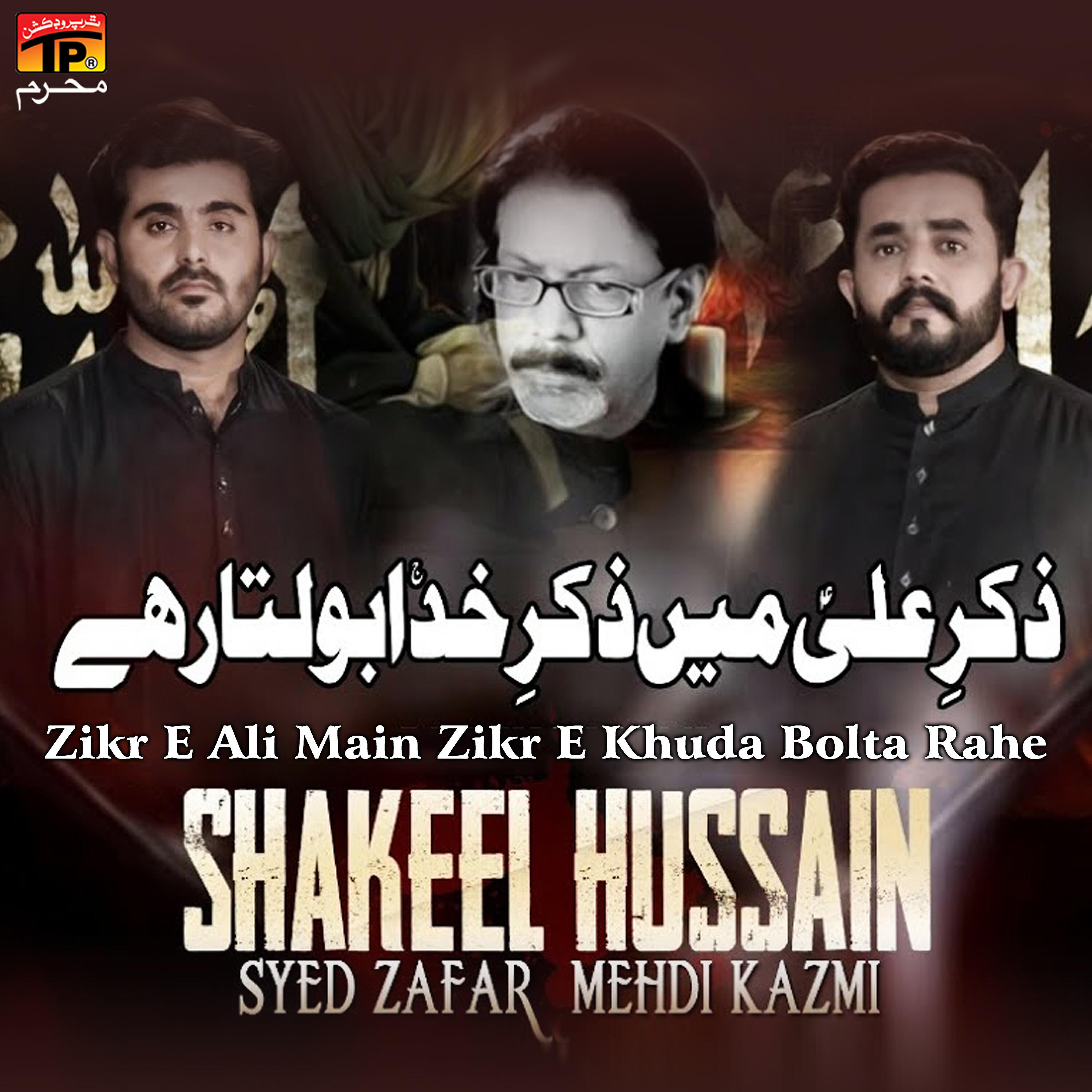 Syed Zafar Mehdi Kazmi