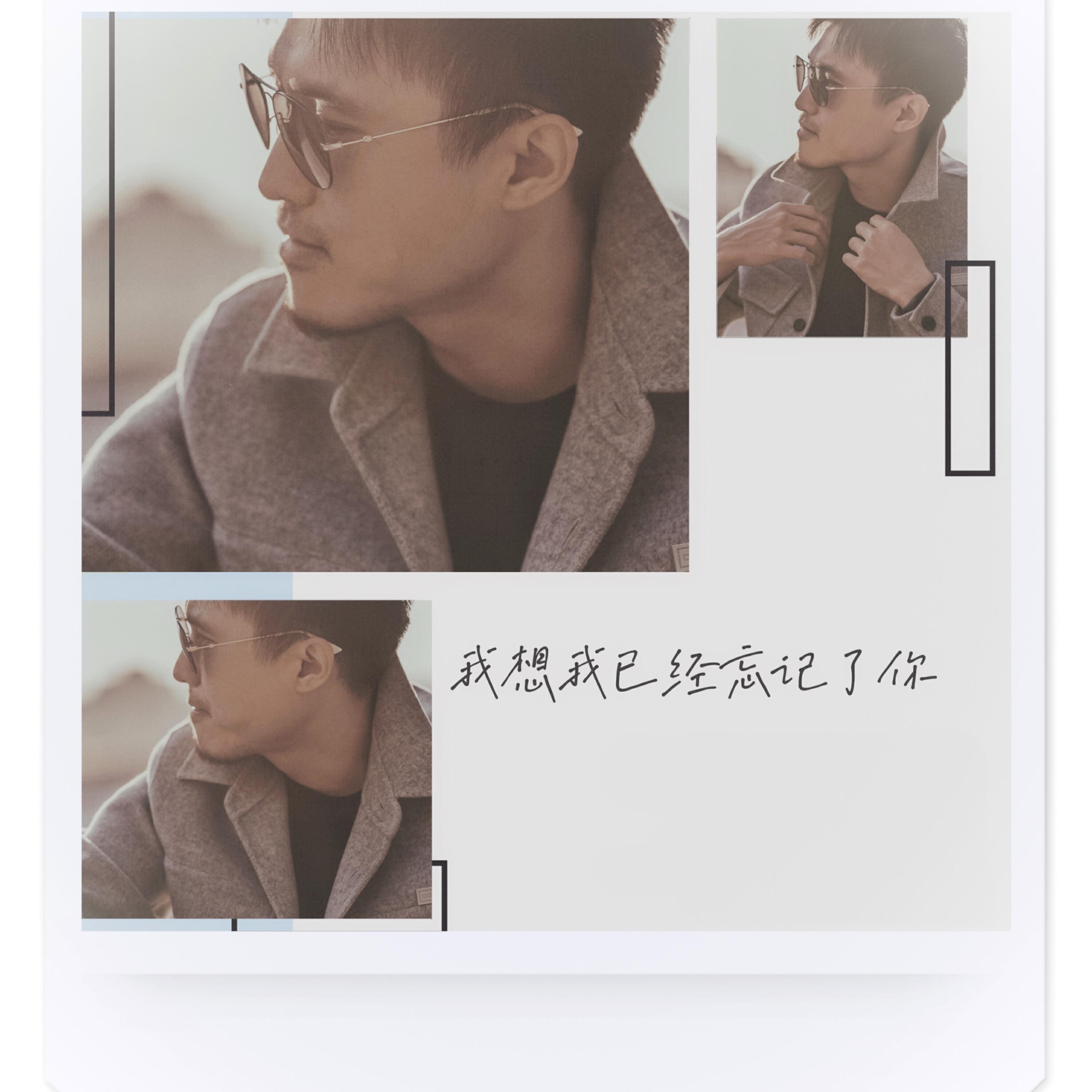 Релиз 我想我已经忘记了你