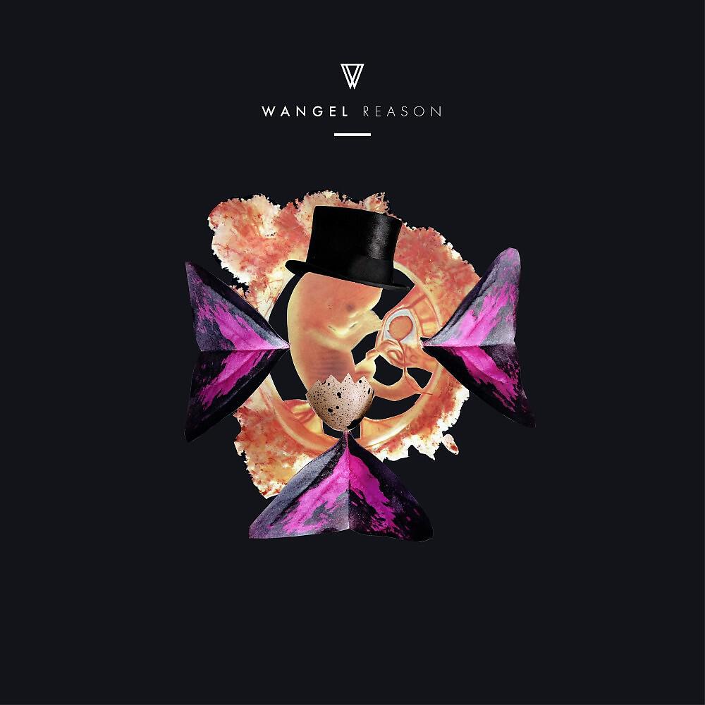 Релиз Reason