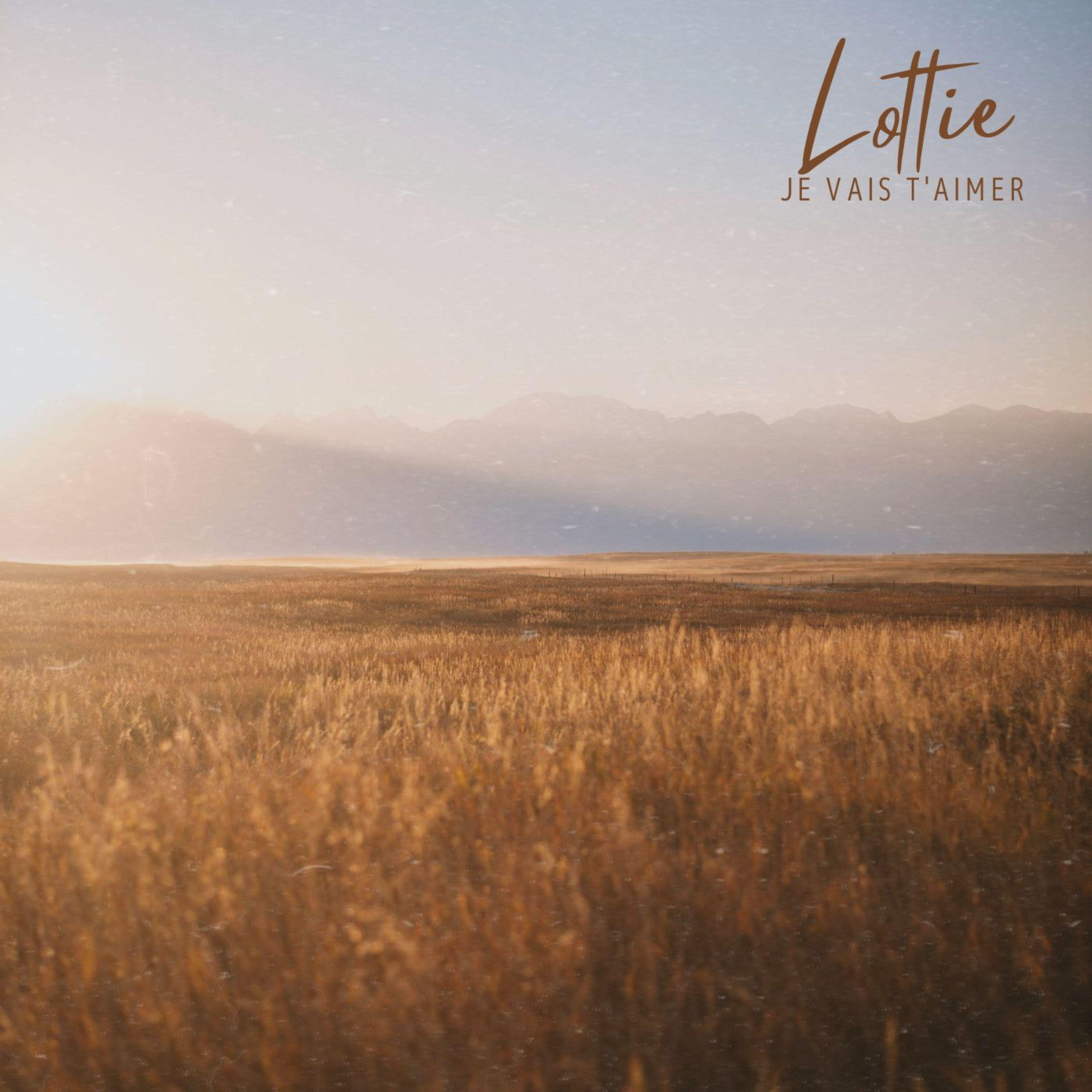 Релиз je vais t'aimer