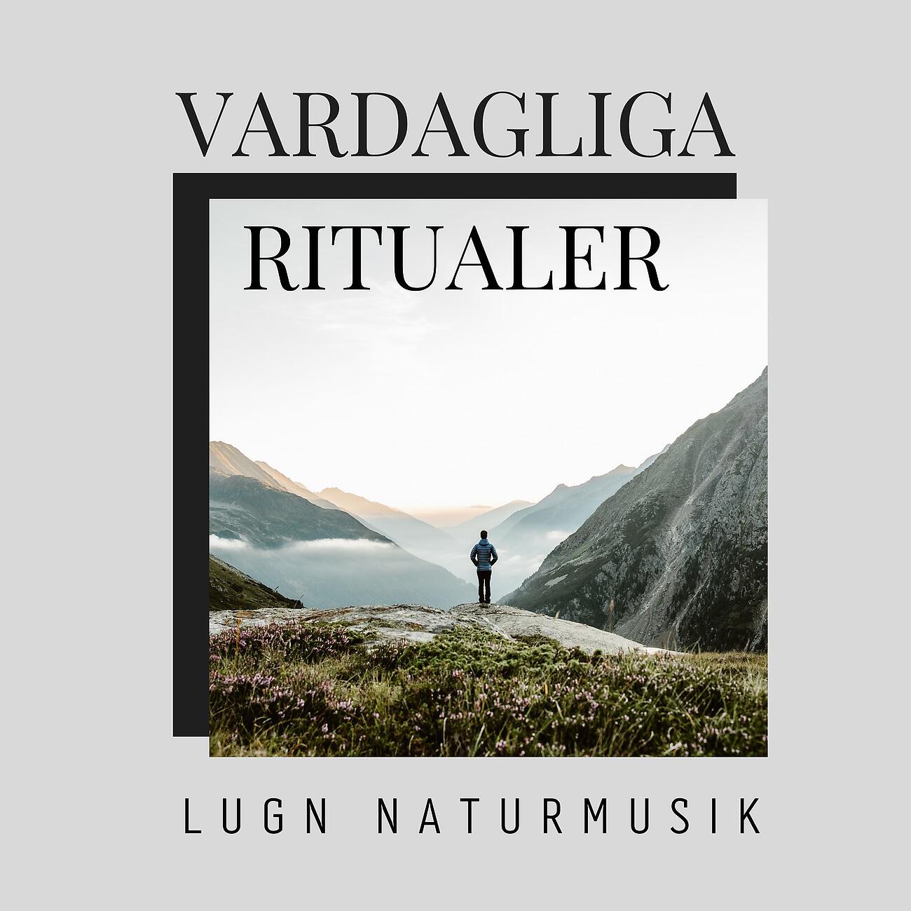 Релиз Vardagliga ritualer