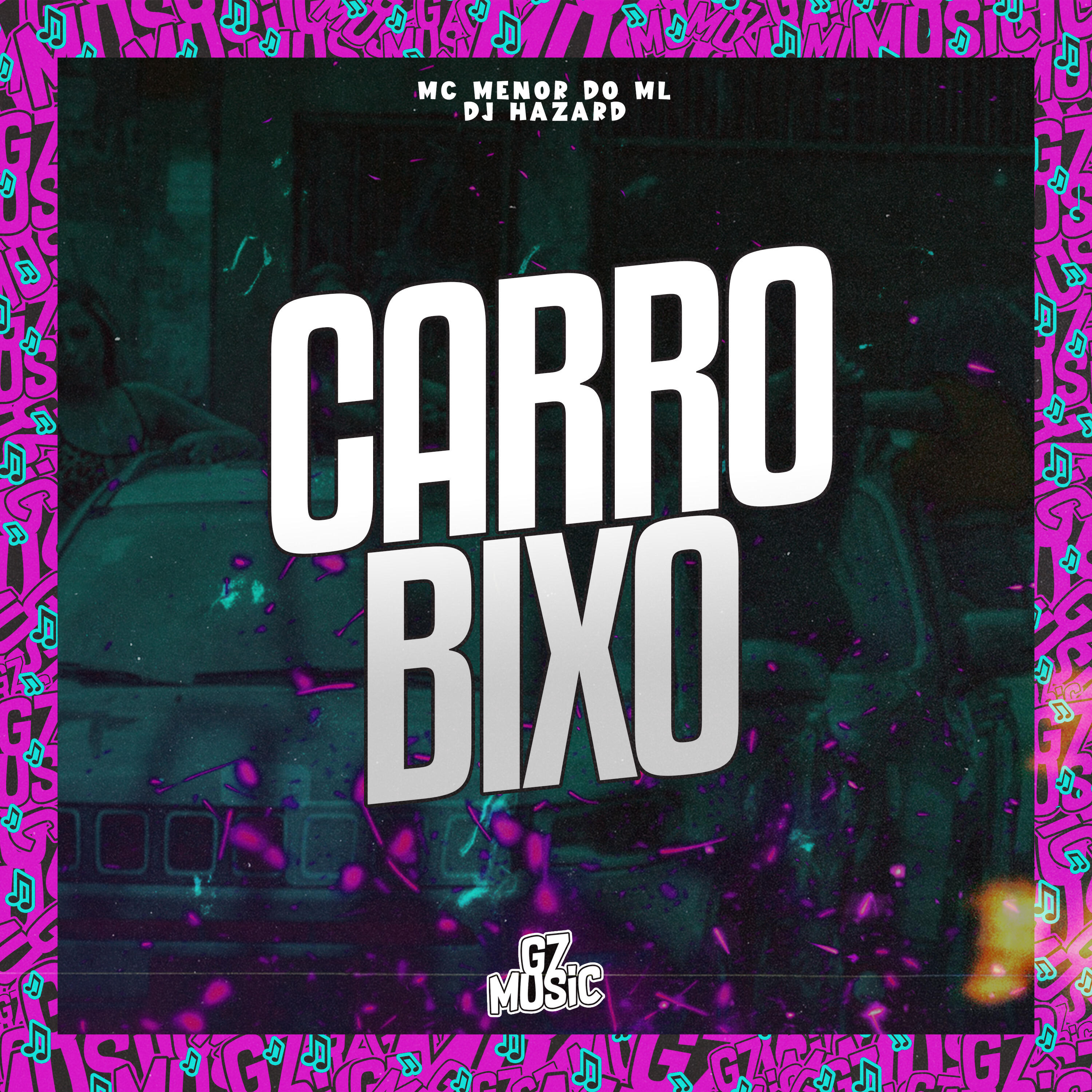 Релиз Carro Bixo