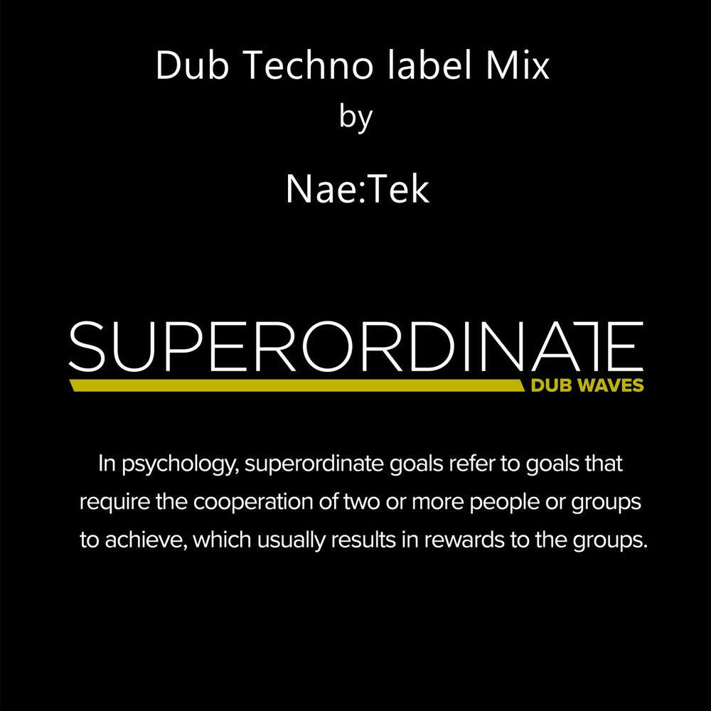 Релиз Dub Techno Label Mix