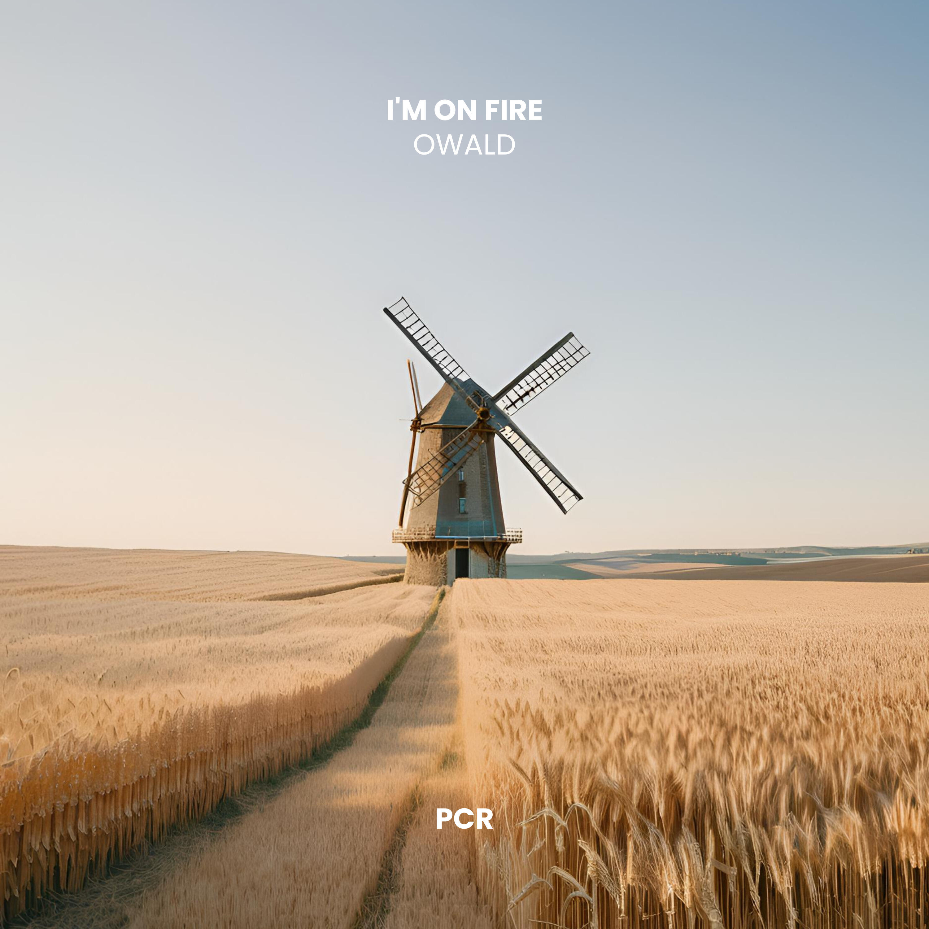 Релиз I'm On Fire