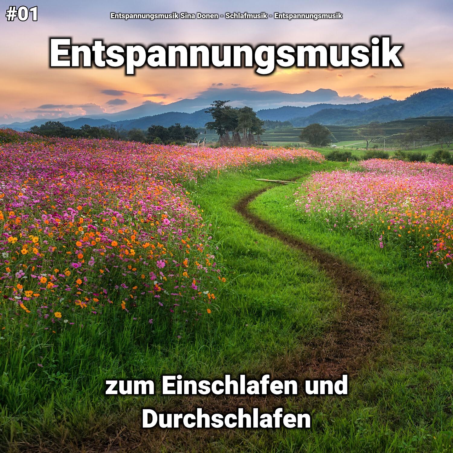 Релиз #01 Entspannungsmusik zum Einschlafen und Durchschlafen