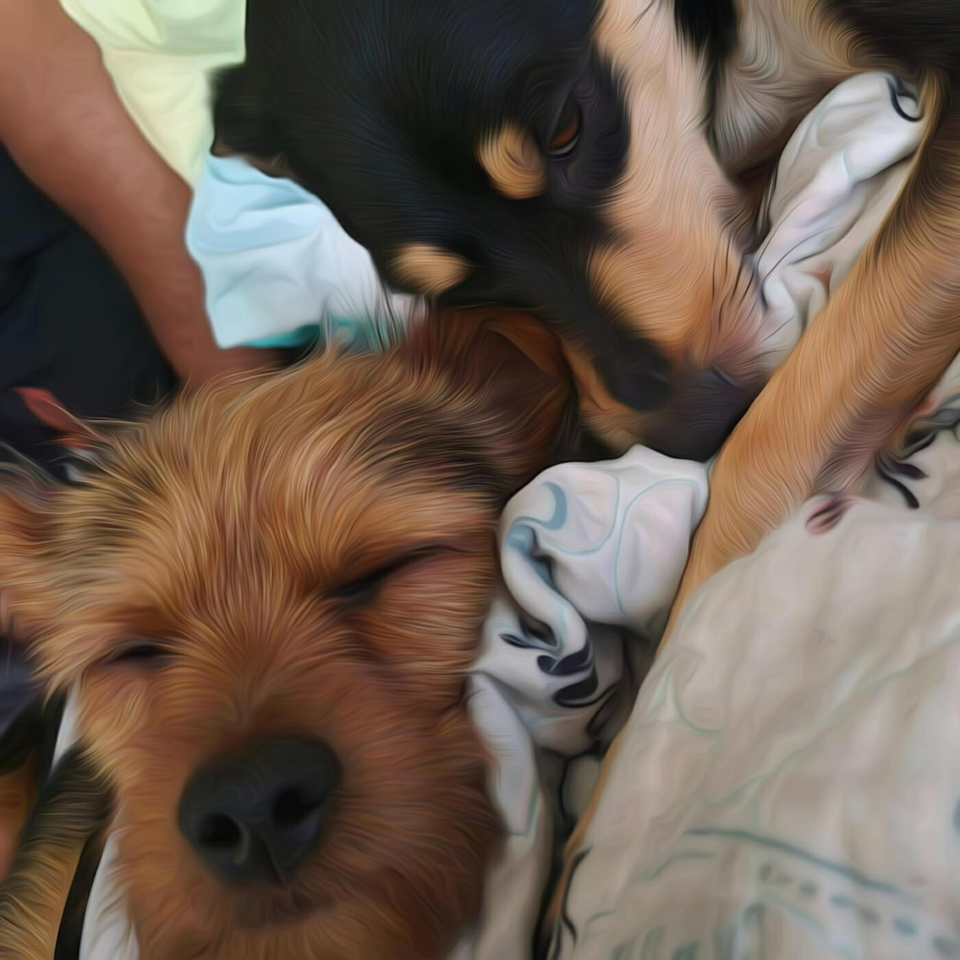 Релиз Family Forever