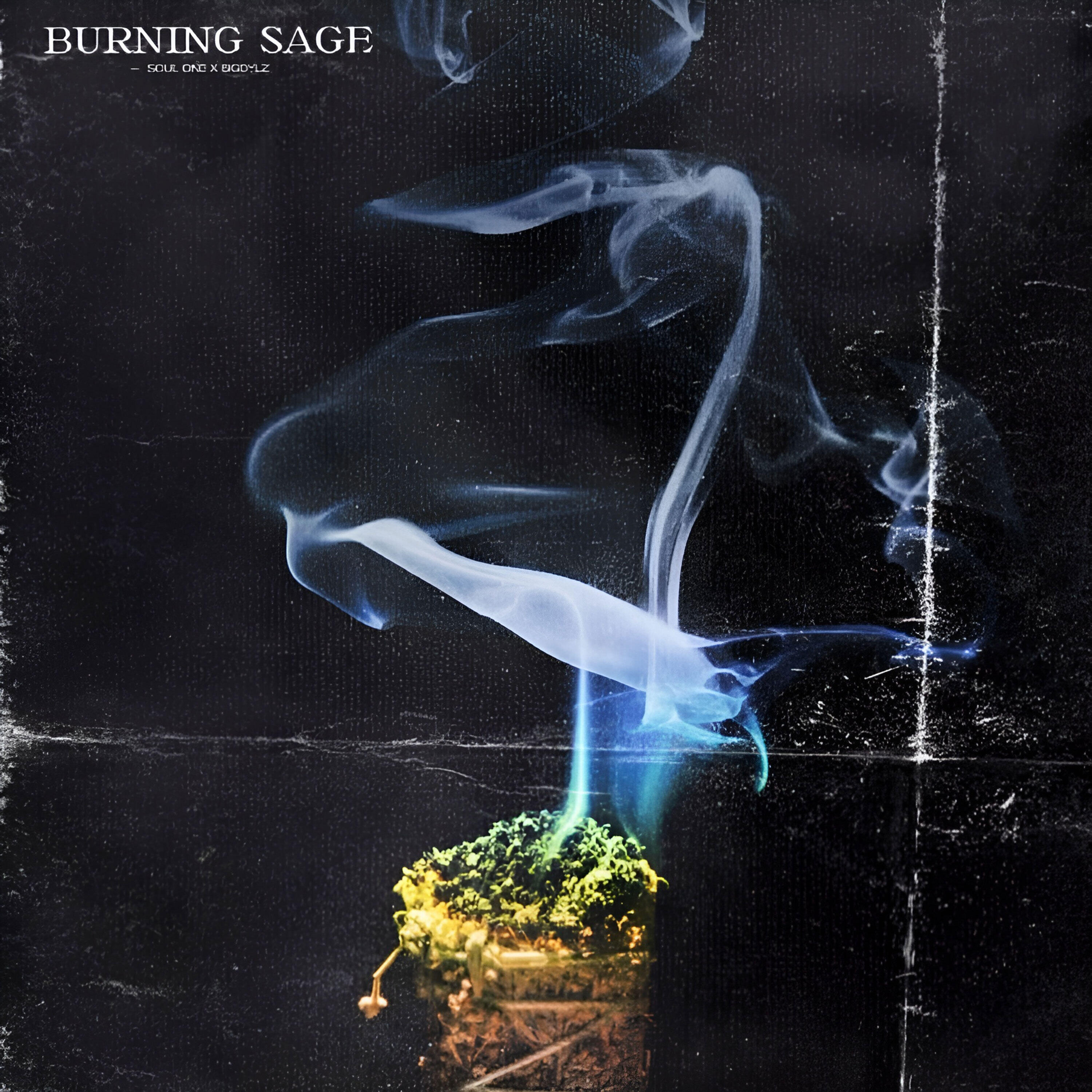 Релиз Burning Sage