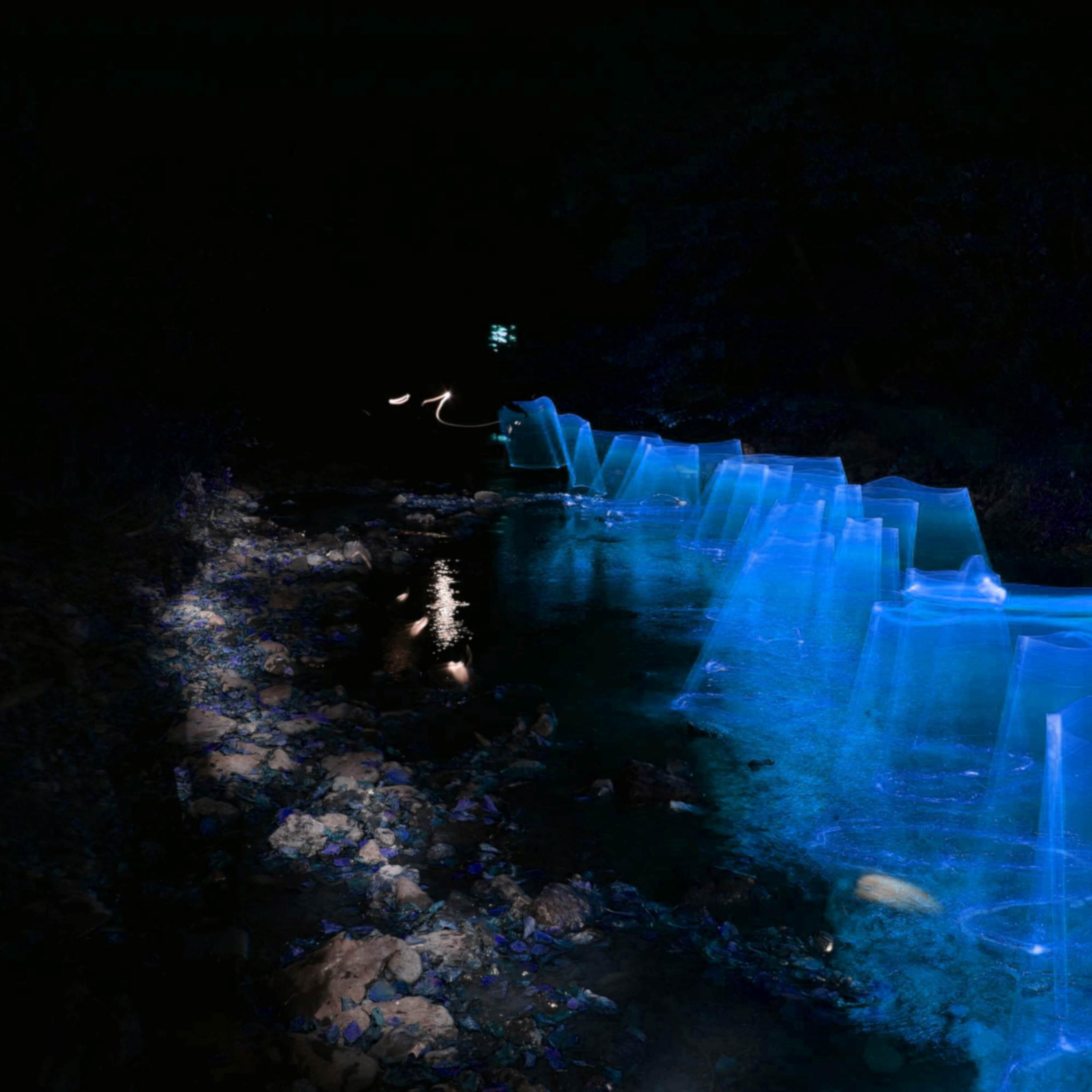 Релиз Colors of Quietness