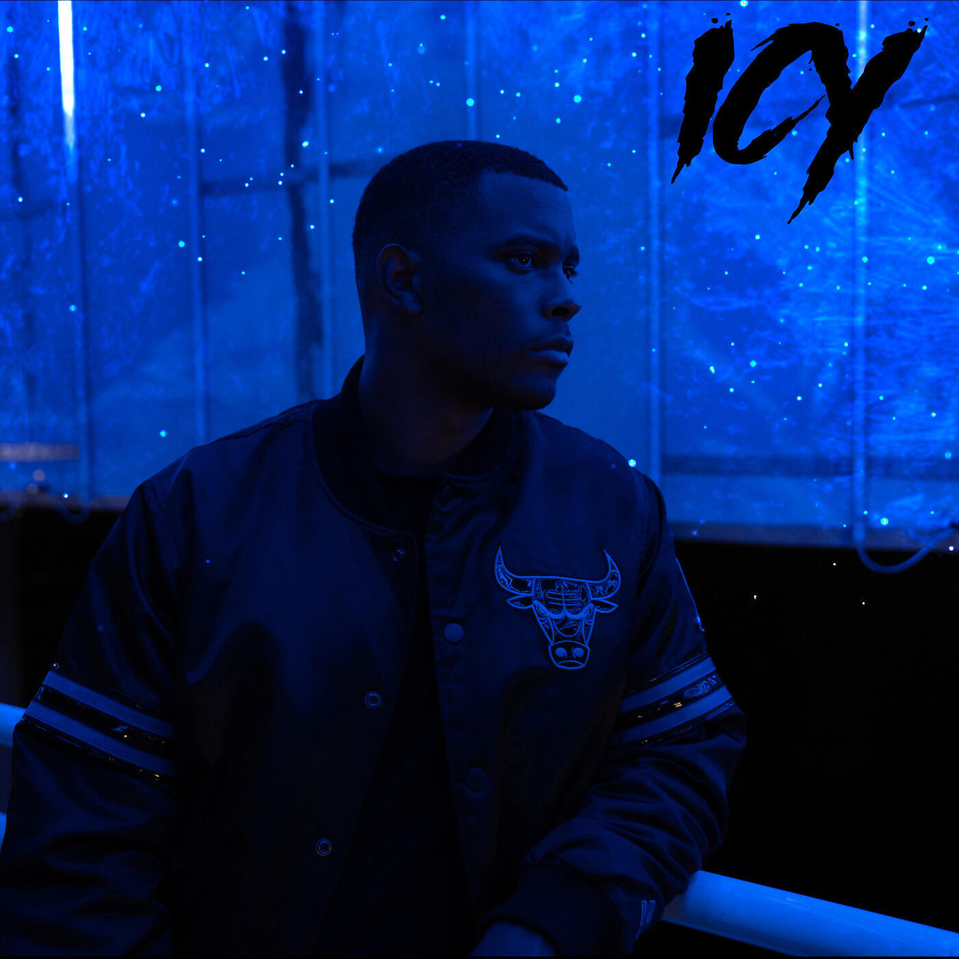 Альбом Icy исполнителя Reiko