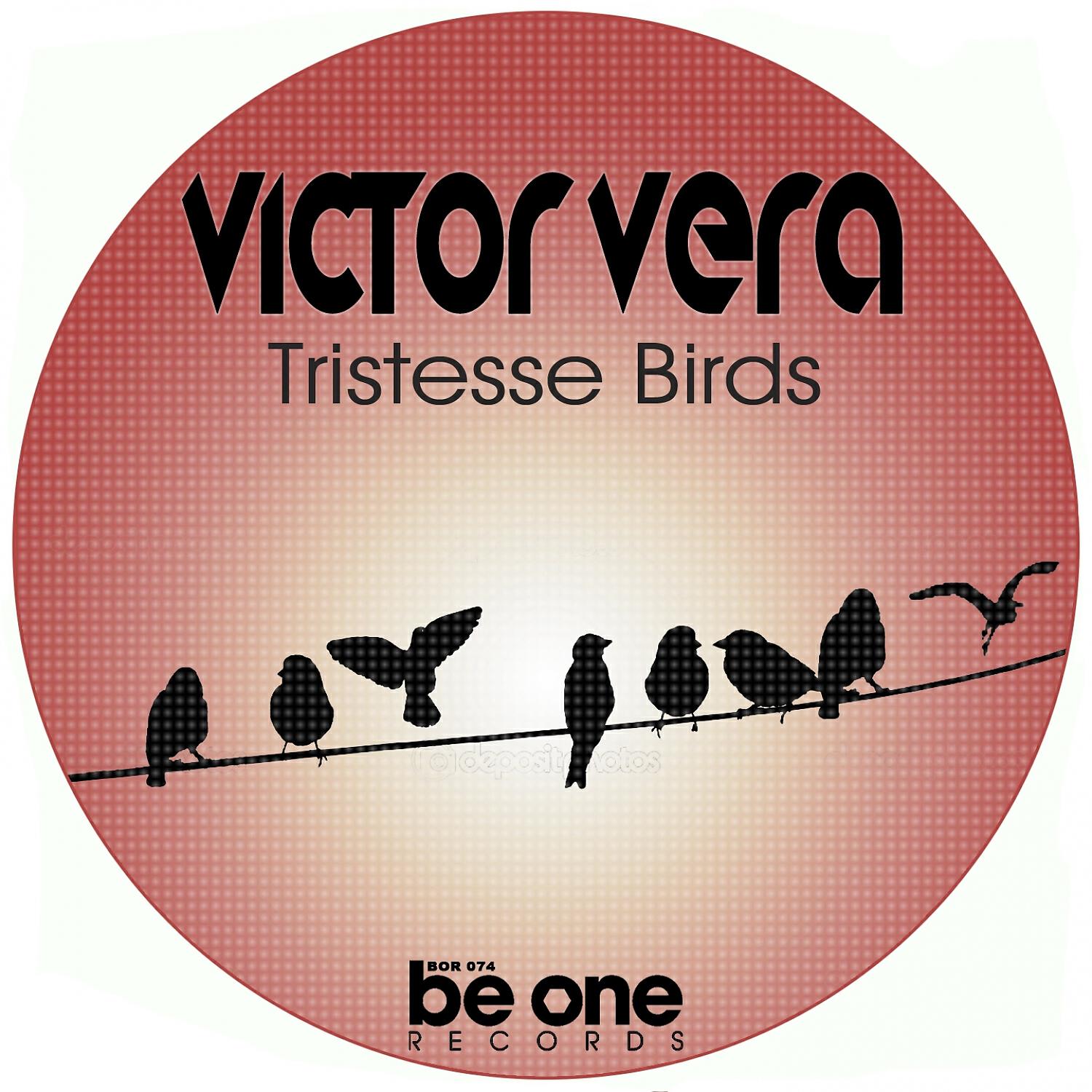 Релиз Tristesse Birds