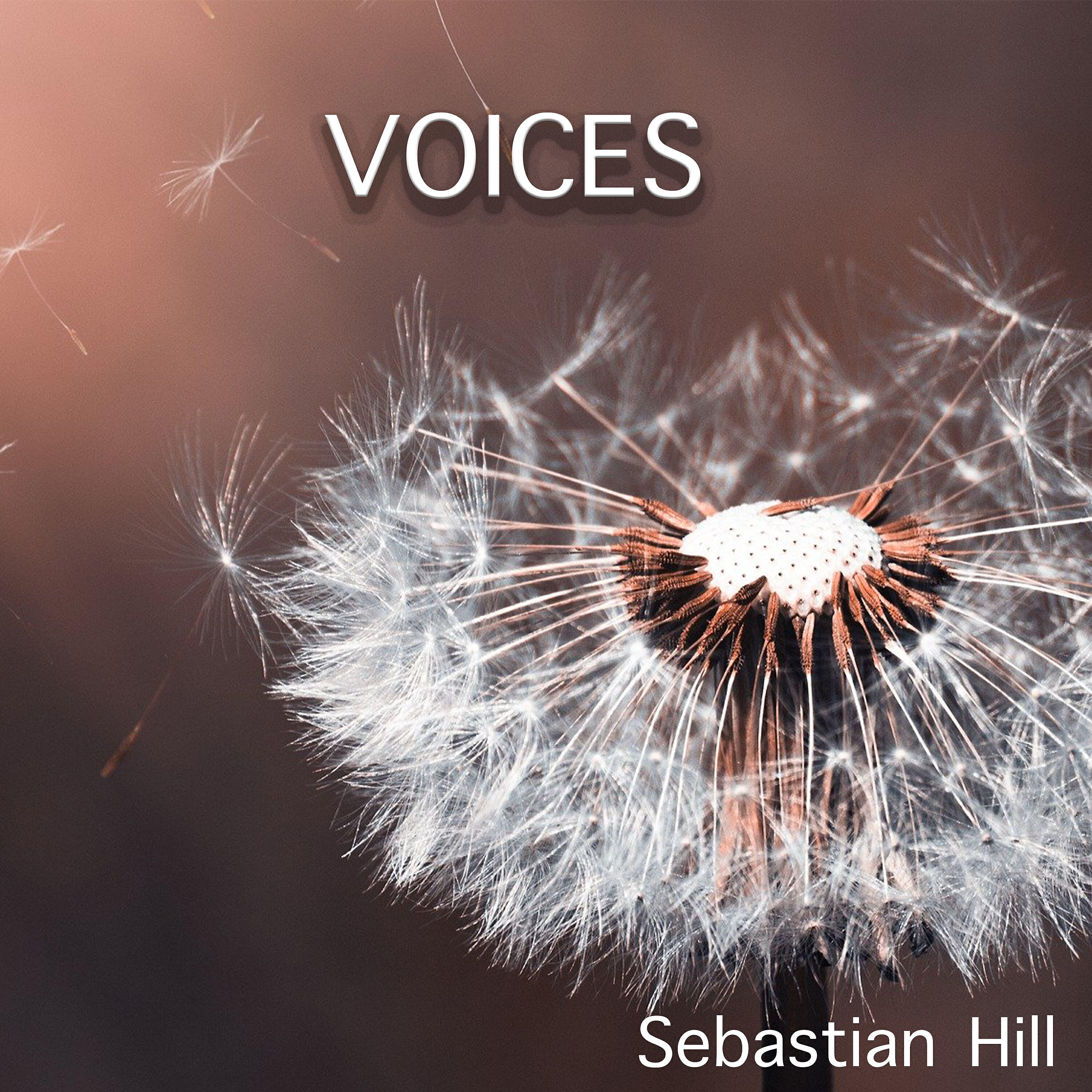 Релиз Voices