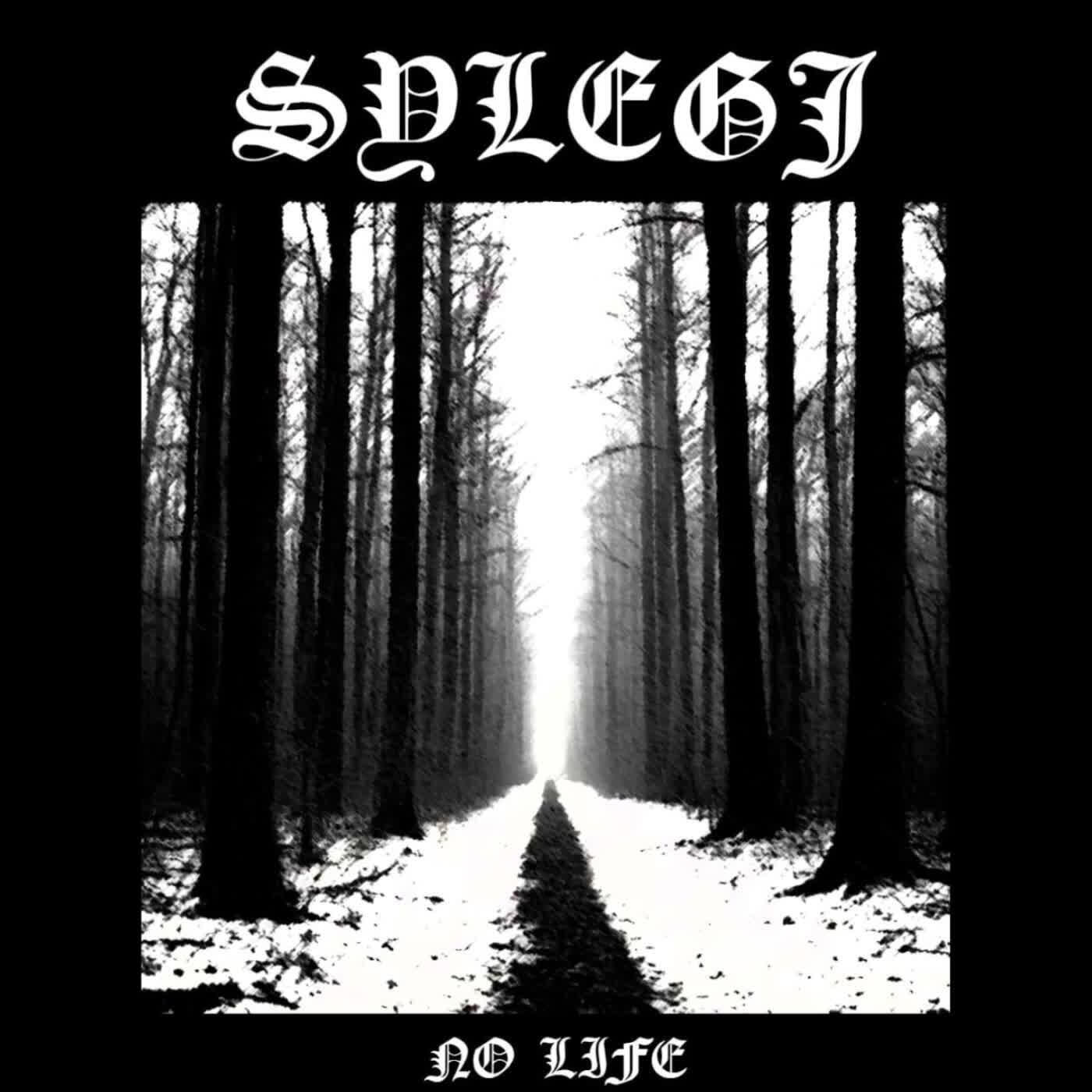 Релиз No Life