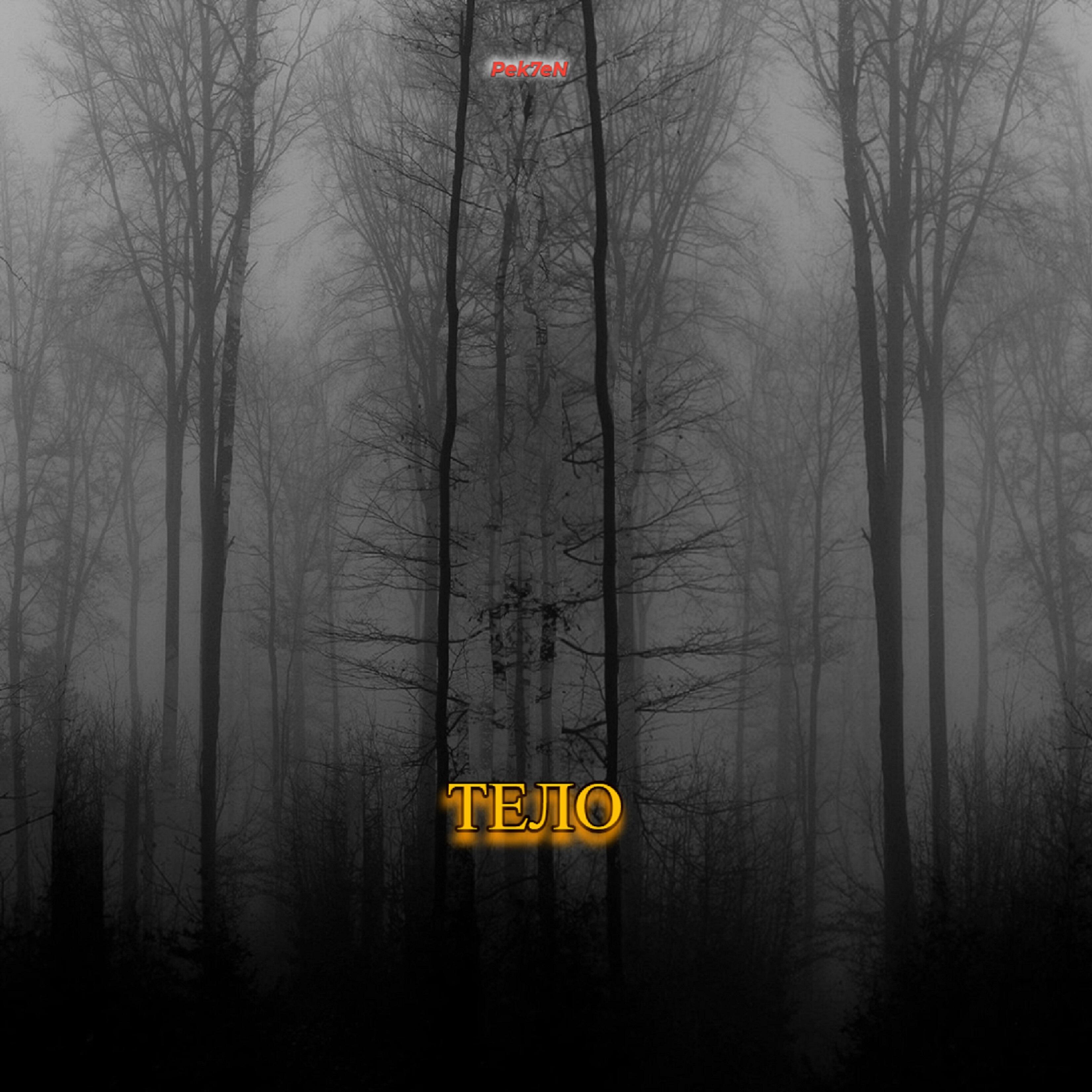 Релиз Тело