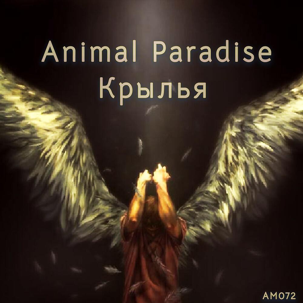 Релиз Крылья